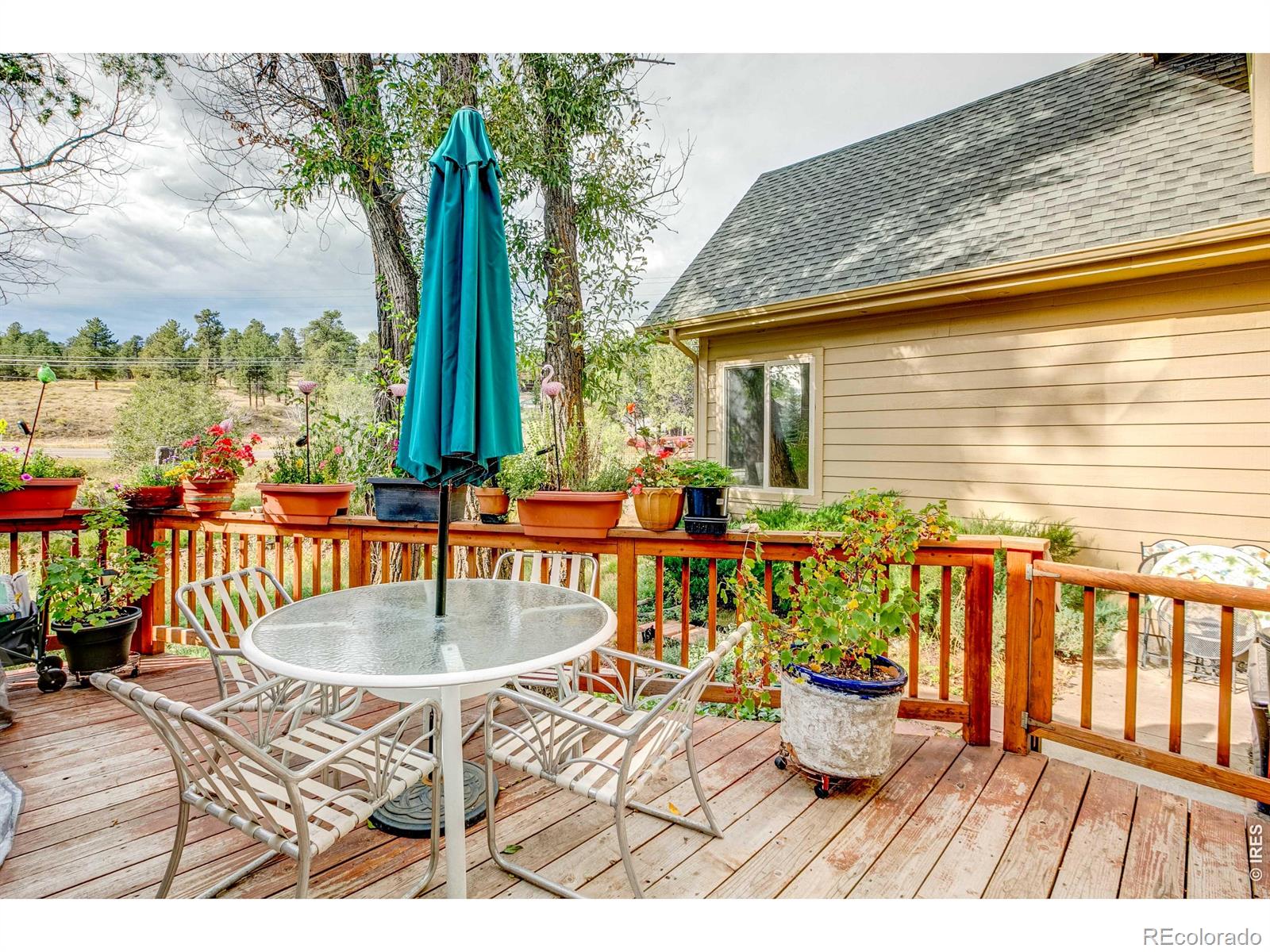 MLS Image #6 for 300  far view drive,estes park, Colorado