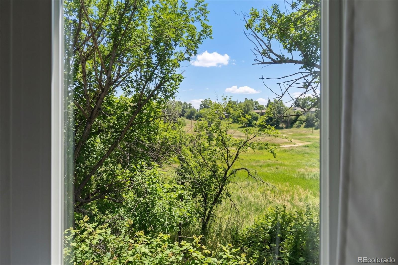 MLS Image #12 for 1116  oak circle,lakewood, Colorado