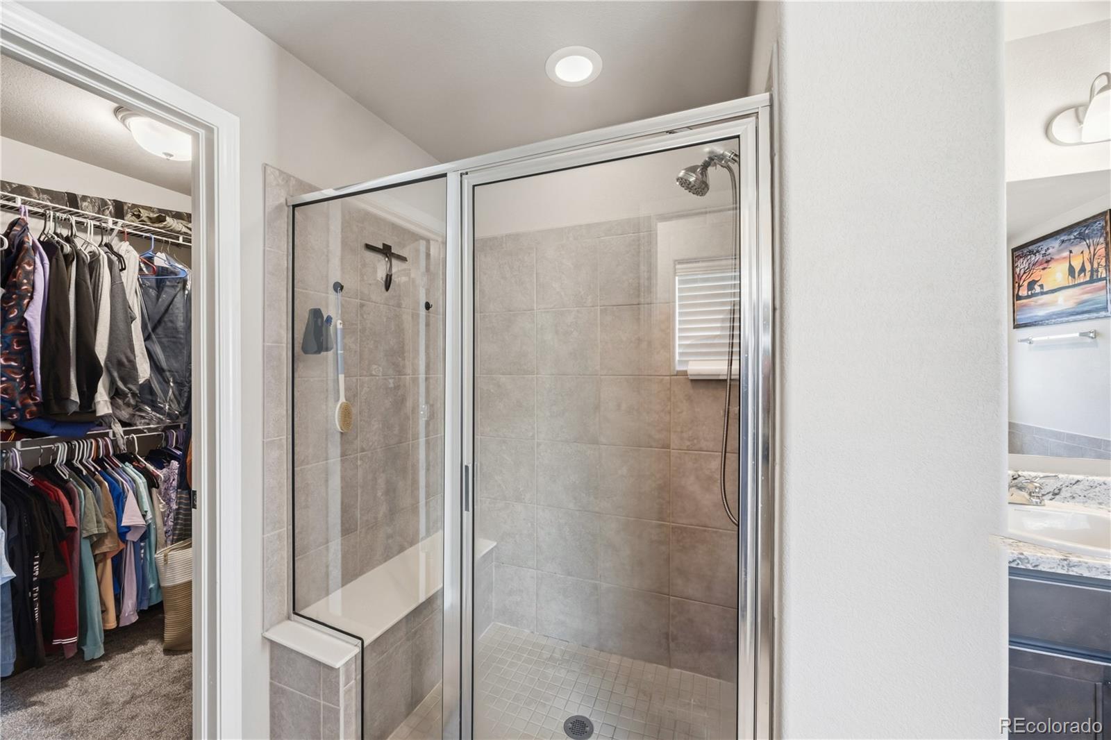 MLS Image #29 for 8267  basaltic drive,colorado springs, Colorado