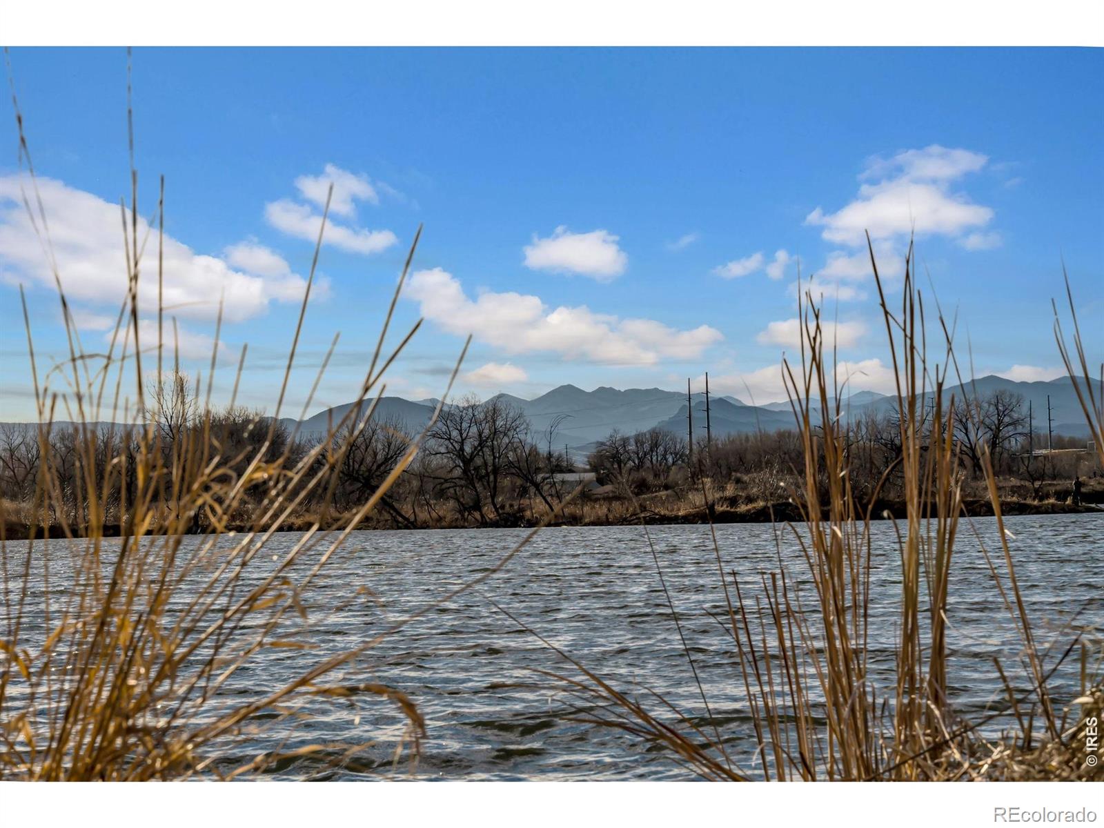 MLS Image #20 for 466 s county road 9e ,loveland, Colorado