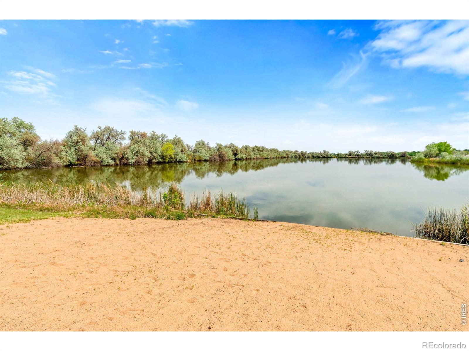 MLS Image #25 for 466 s county road 9e ,loveland, Colorado