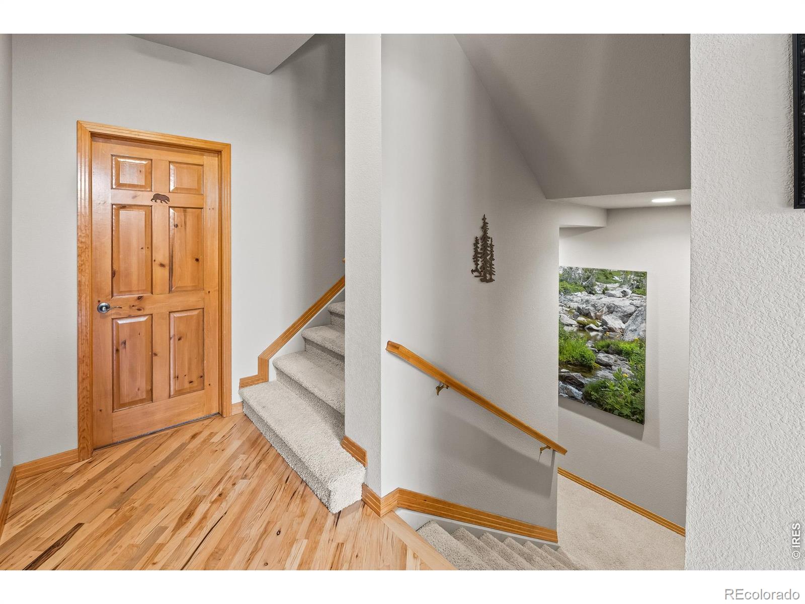 MLS Image #24 for 2690  fox acres drive,red feather lakes, Colorado