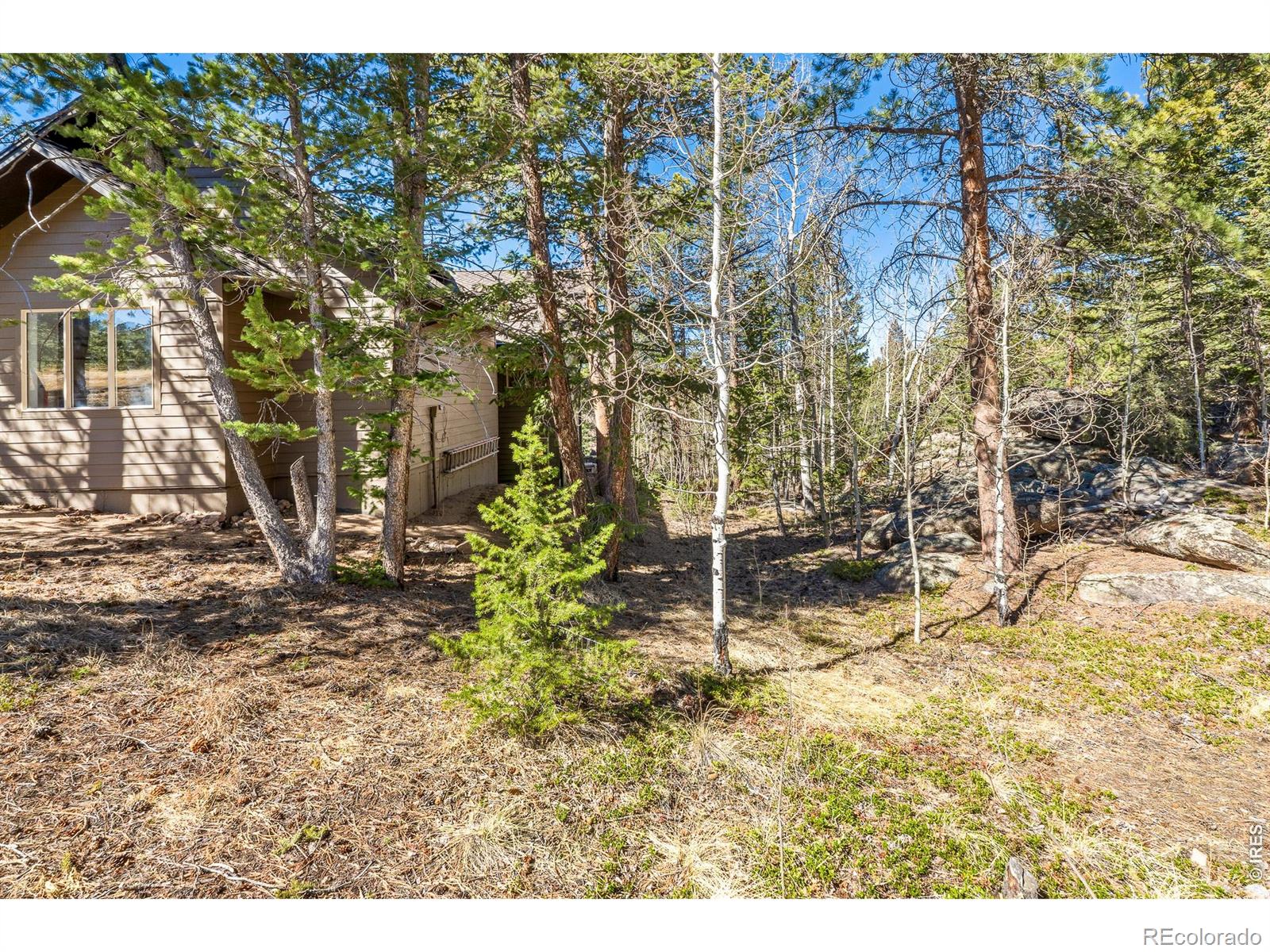 MLS Image #9 for 2690  fox acres drive,red feather lakes, Colorado