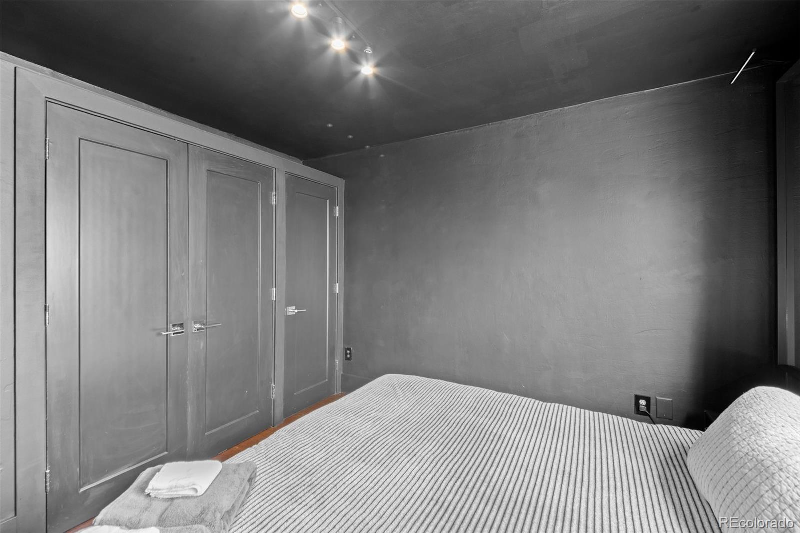 MLS Image #19 for 1140 n downing street,denver, Colorado