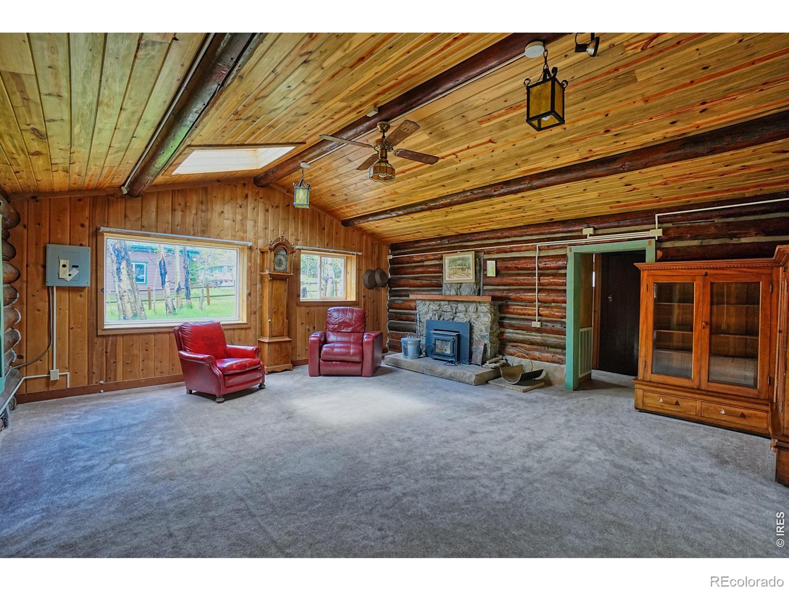 MLS Image #8 for 545  eldorado avenue,nederland, Colorado