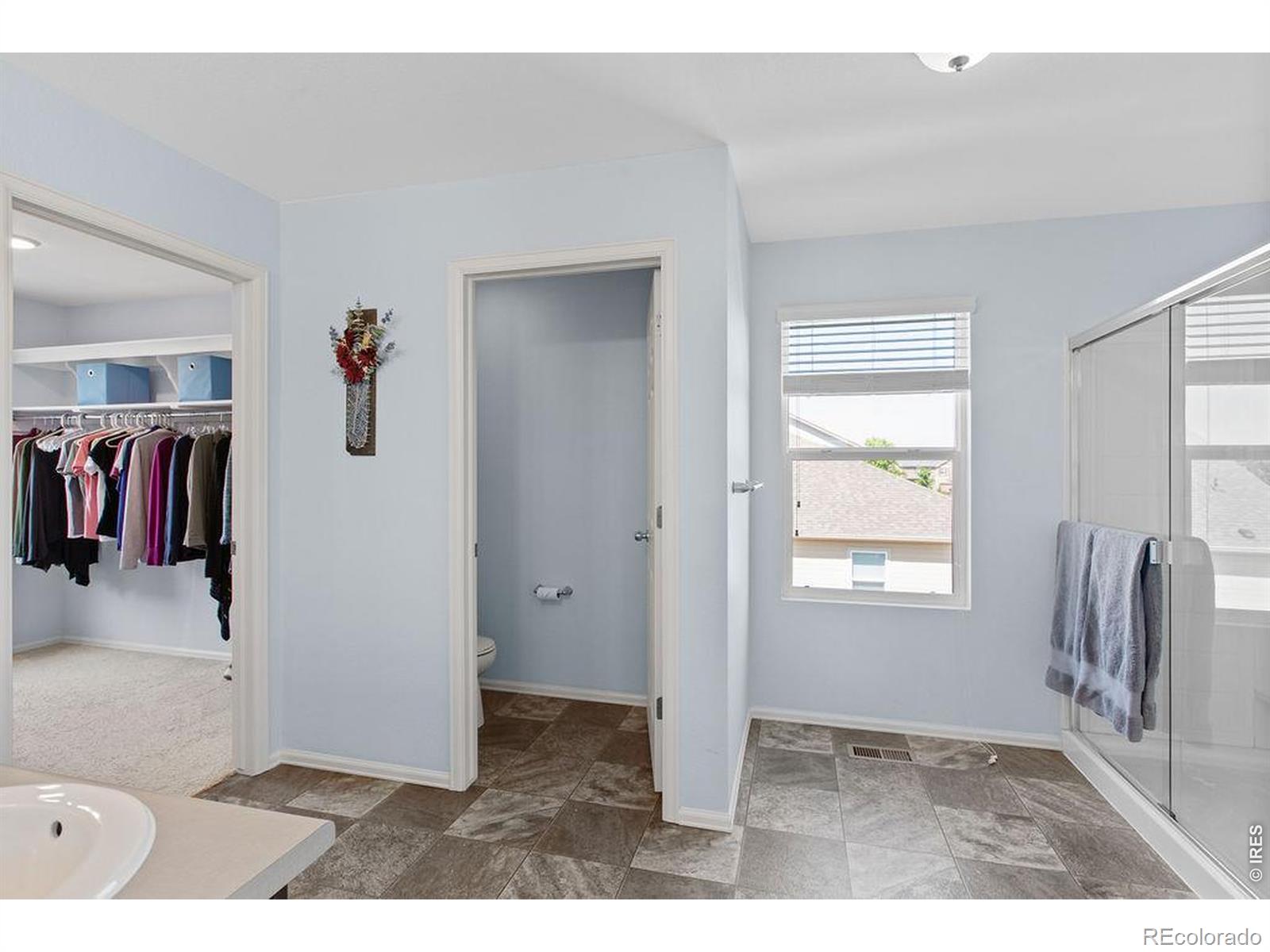 MLS Image #20 for 6792  covenant court,timnath, Colorado