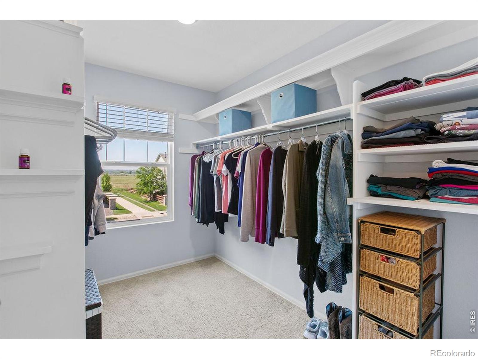 MLS Image #21 for 6792  covenant court,timnath, Colorado