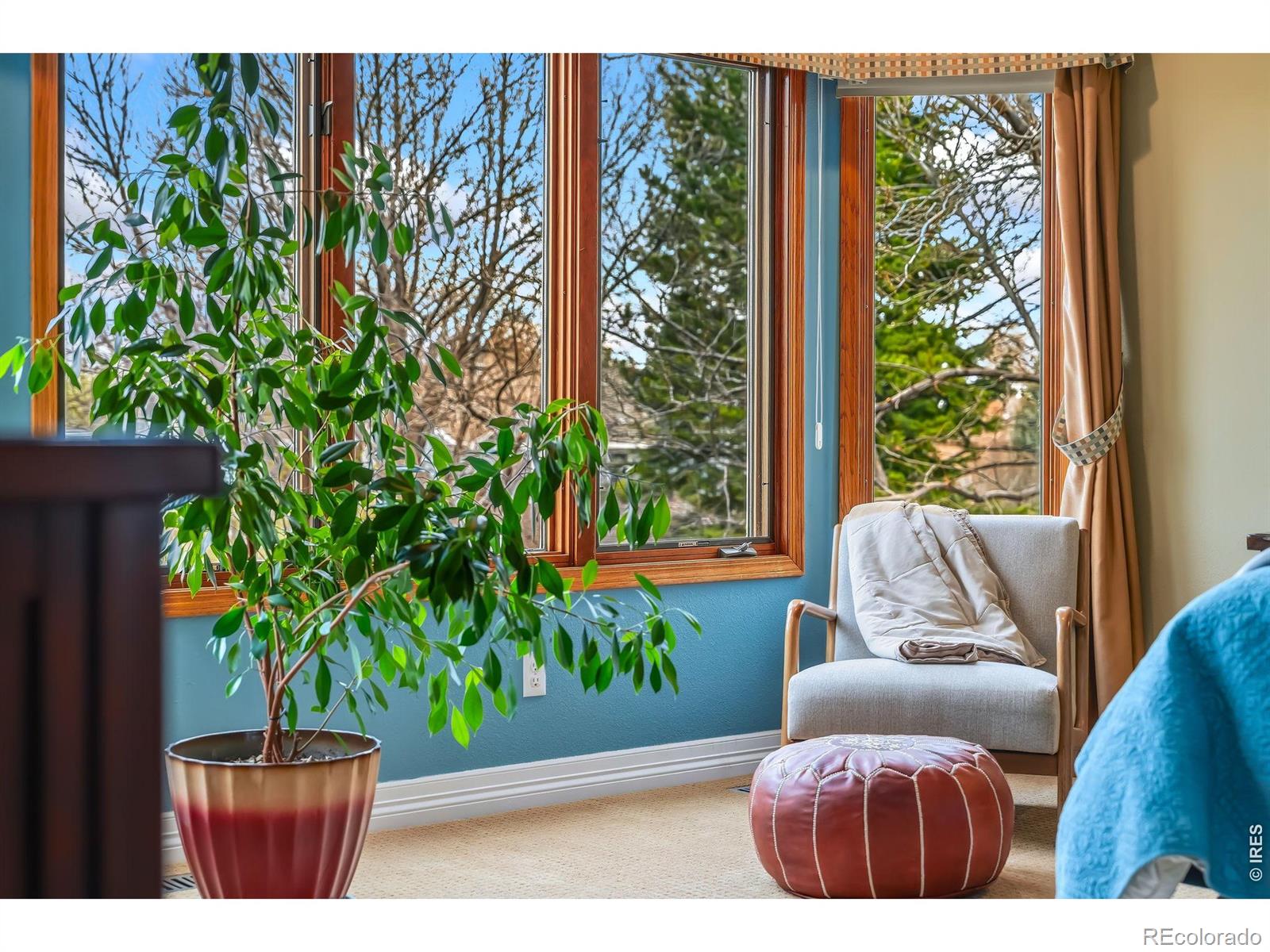 MLS Image #30 for 1006  fox hills drive,fort collins, Colorado