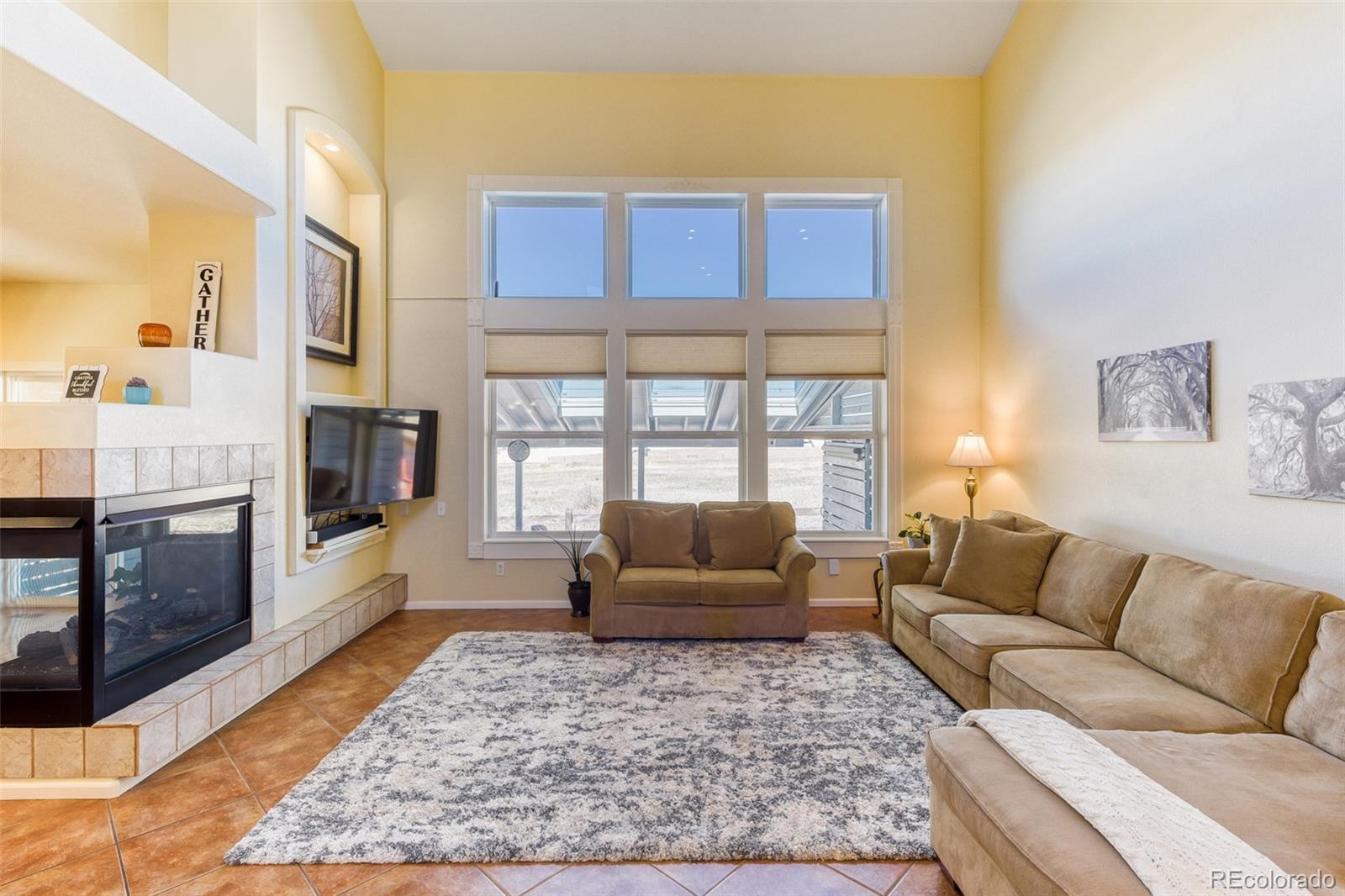 MLS Image #10 for 3897  mallard lane,highlands ranch, Colorado