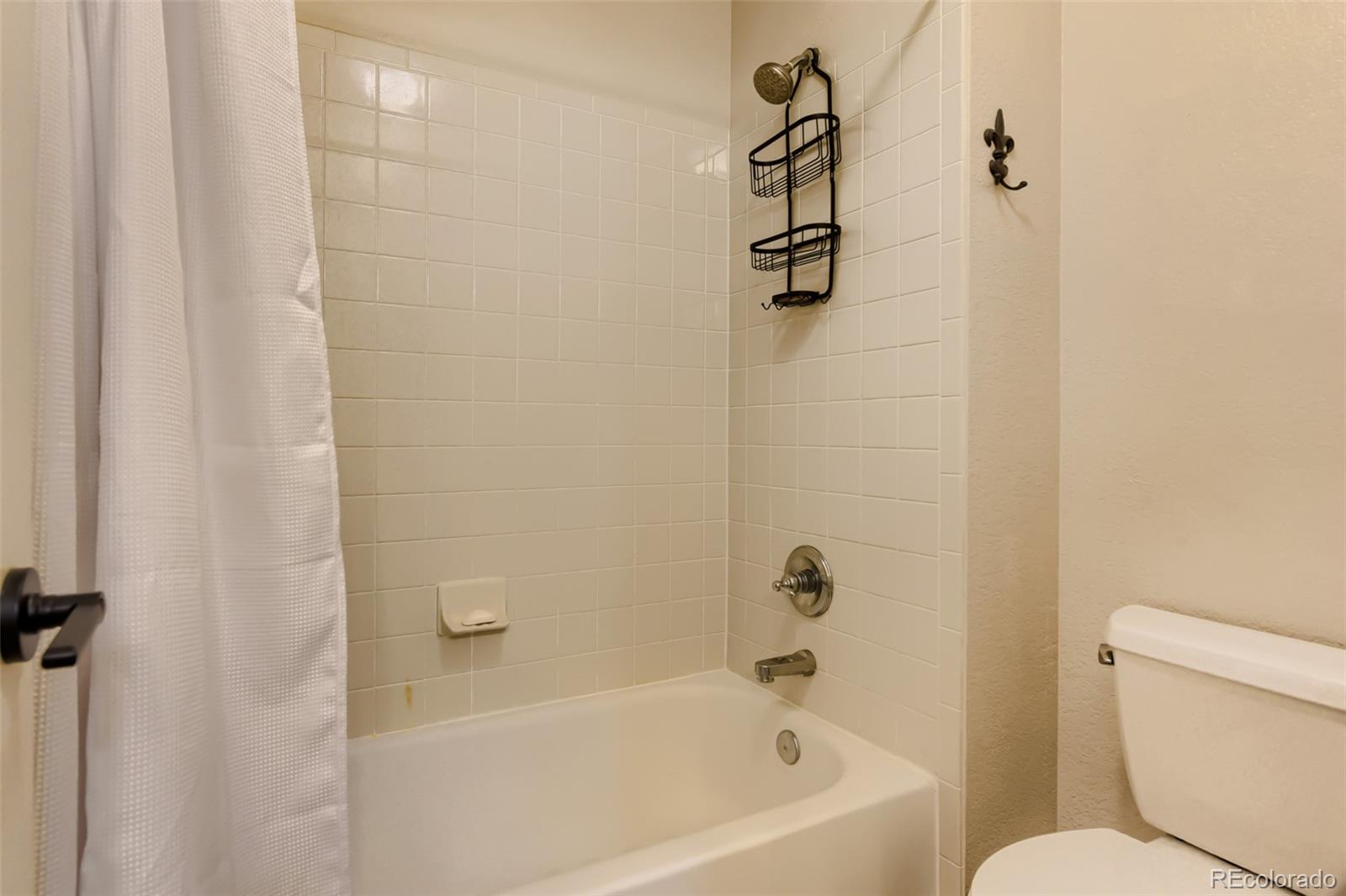 MLS Image #25 for 3897  mallard lane,highlands ranch, Colorado