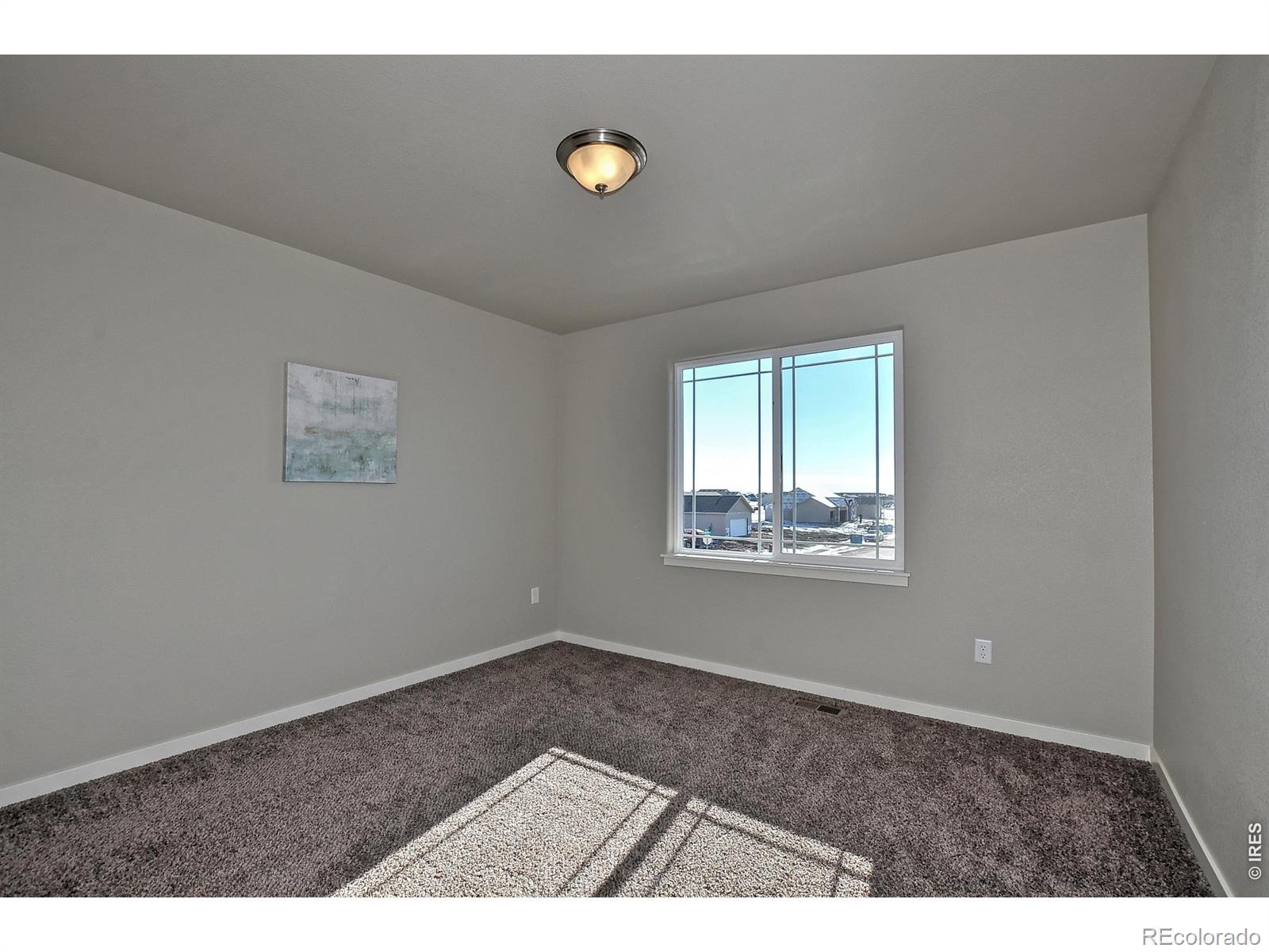 MLS Image #12 for 1039  crown sparrow street,johnstown, Colorado