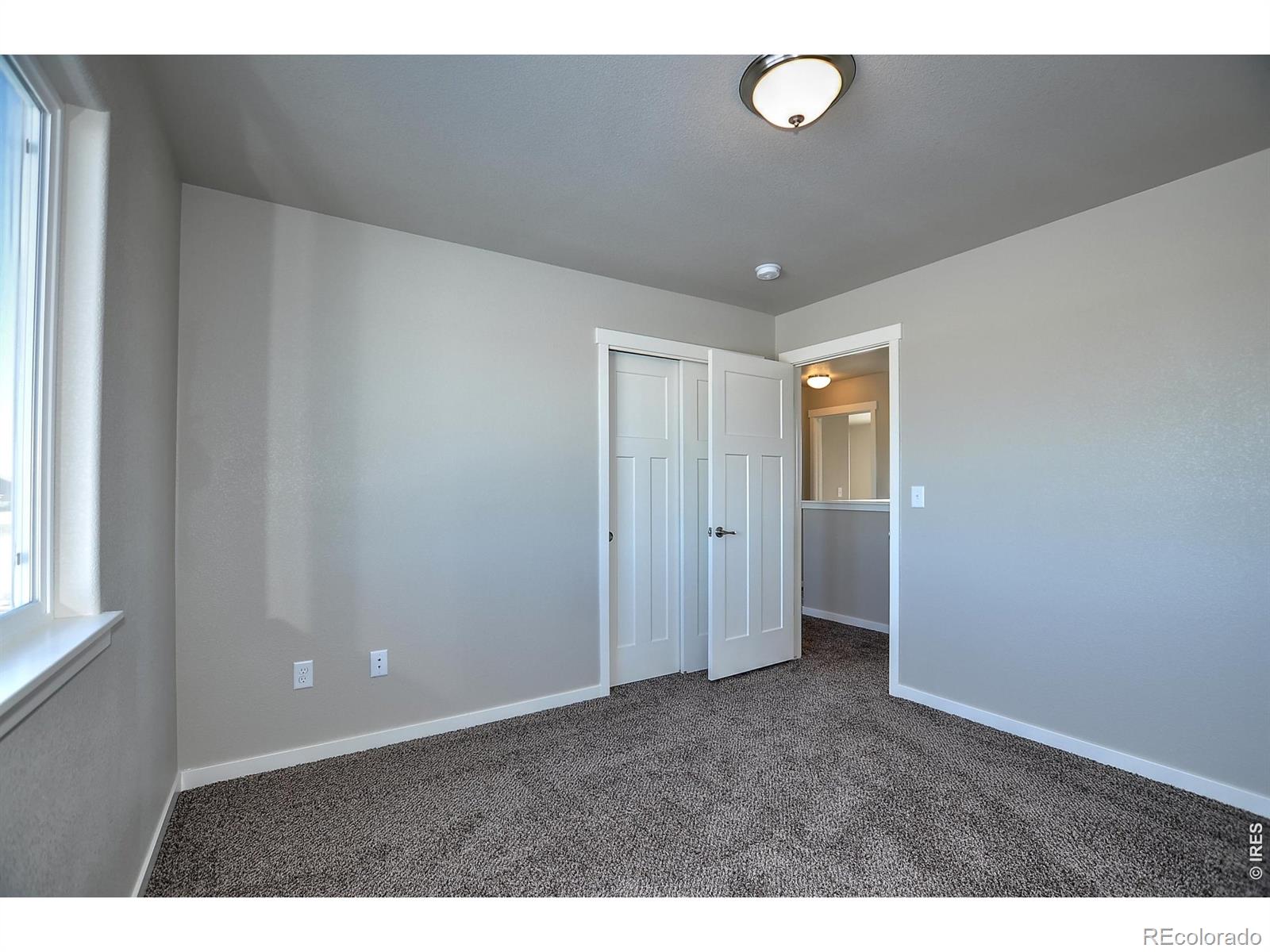 MLS Image #14 for 1039  crown sparrow street,johnstown, Colorado