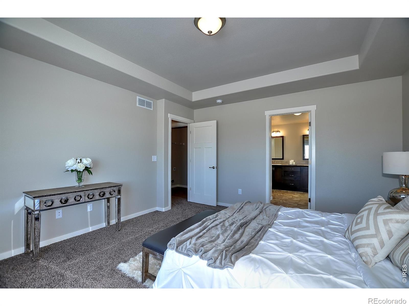 MLS Image #19 for 1039  crown sparrow street,johnstown, Colorado