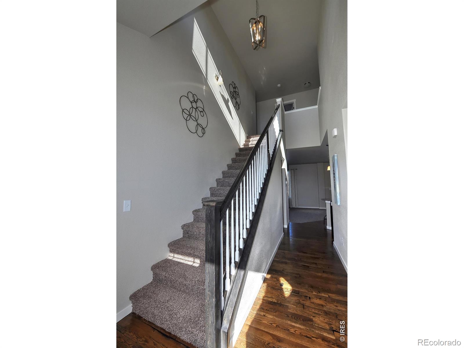 MLS Image #30 for 1039  crown sparrow street,johnstown, Colorado