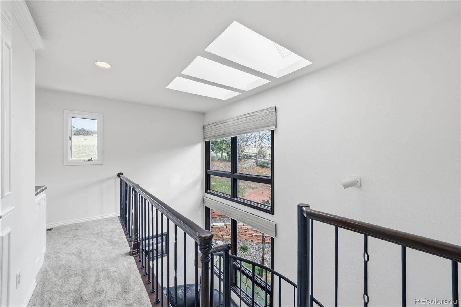 MLS Image #19 for 4  blue grouse ridge road,littleton, Colorado