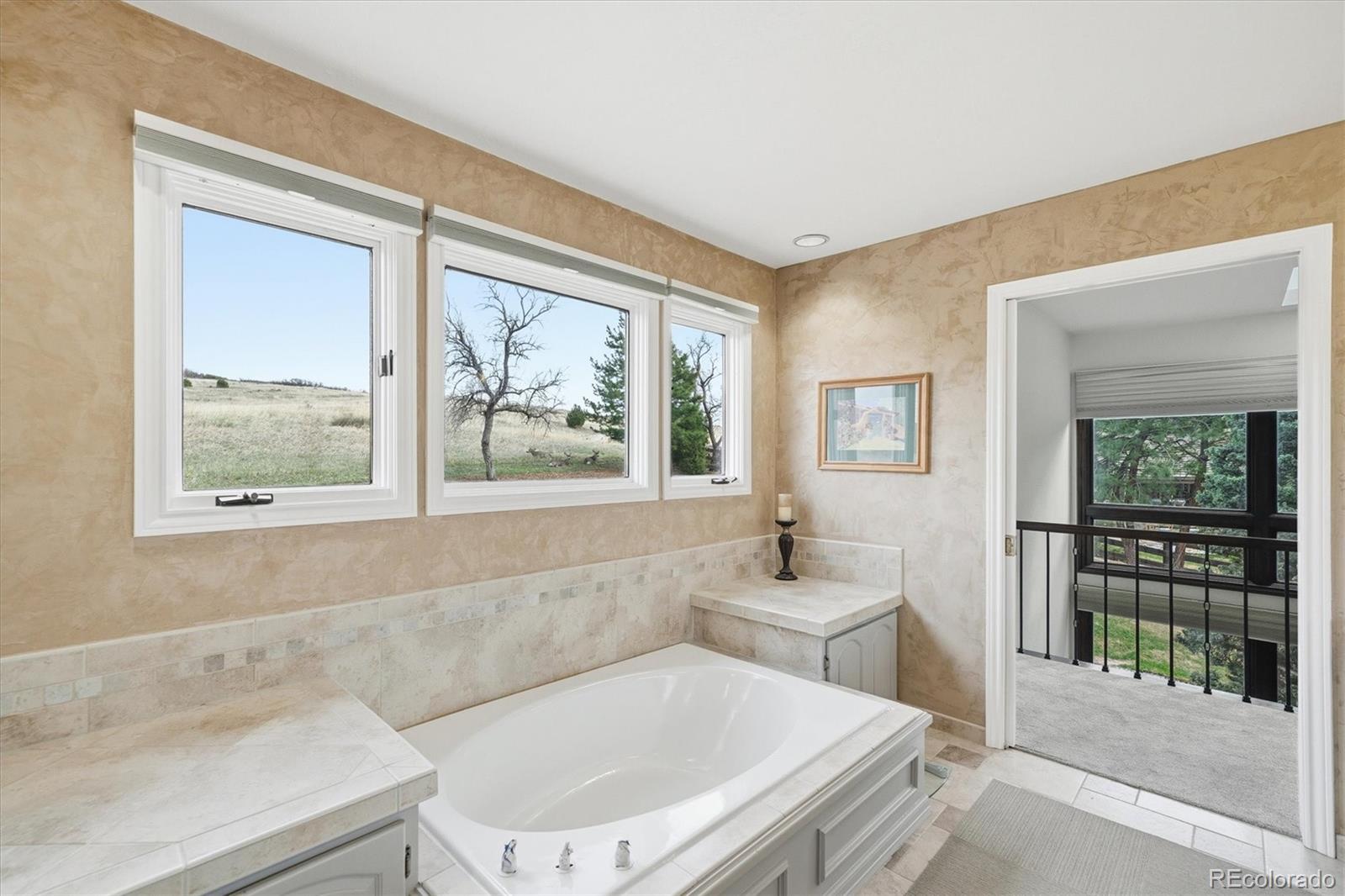 MLS Image #22 for 4  blue grouse ridge road,littleton, Colorado