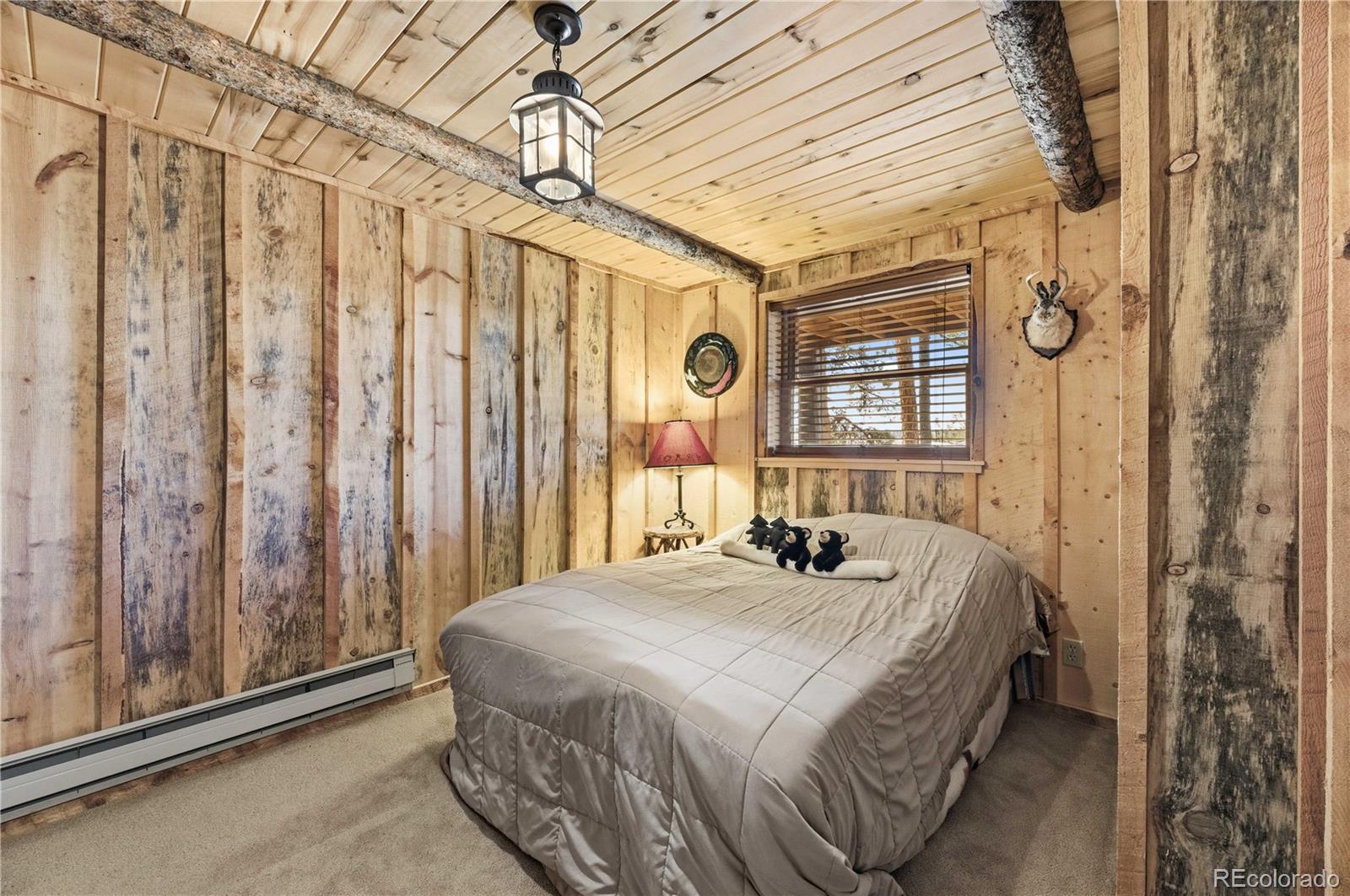 MLS Image #17 for 1806  wagon wheel road,hartsel, Colorado