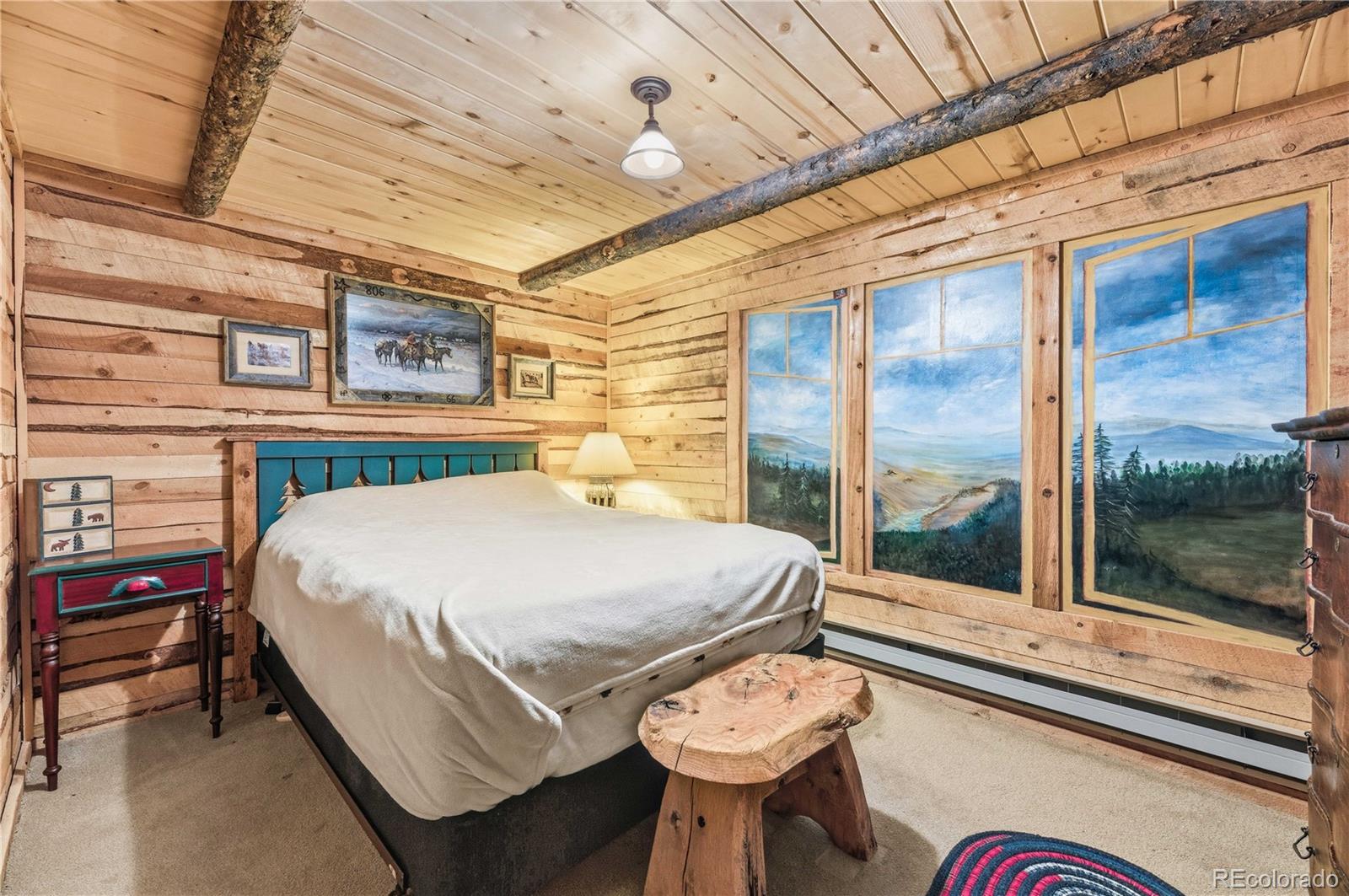 MLS Image #18 for 1806  wagon wheel road,hartsel, Colorado