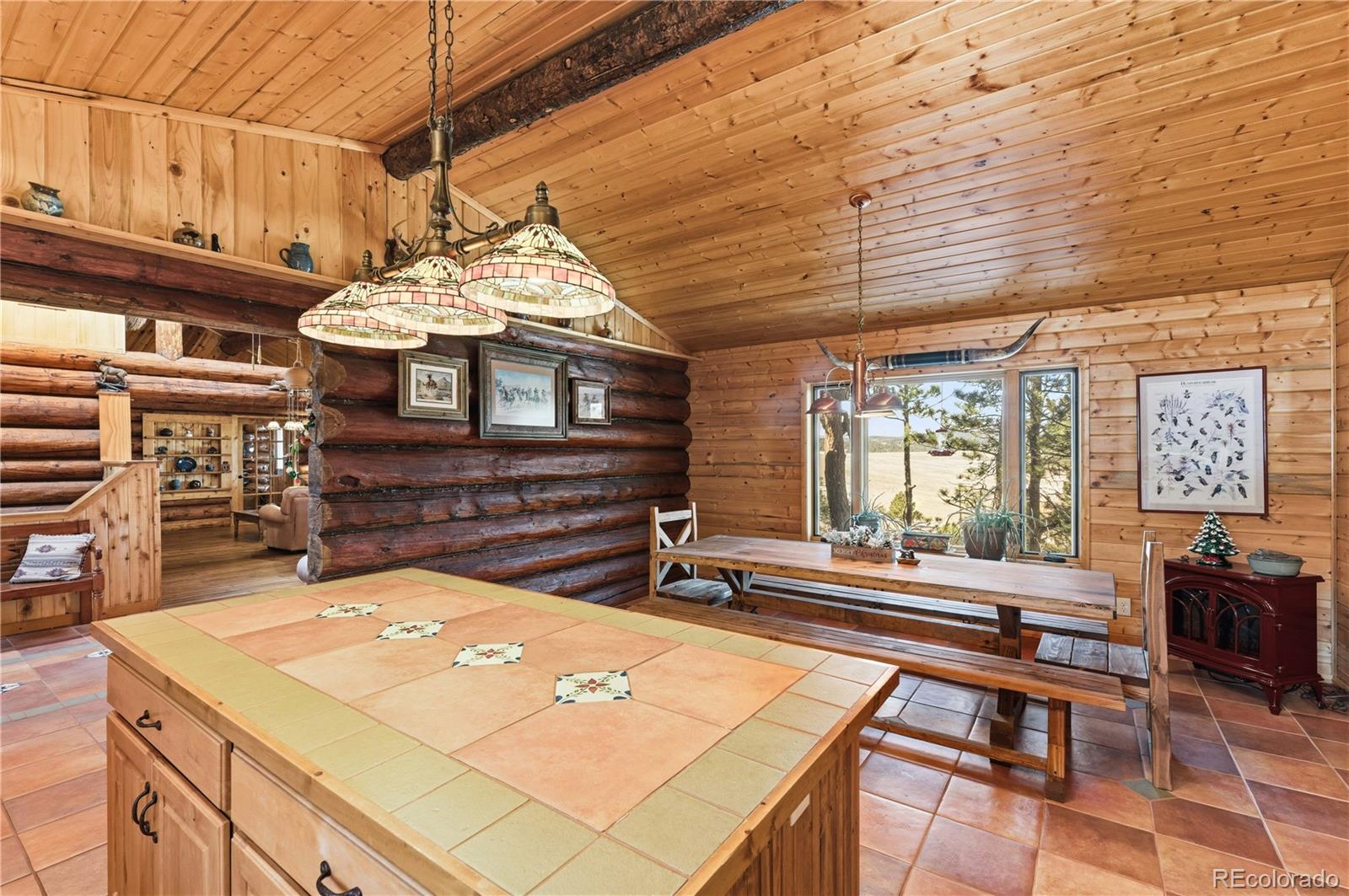 MLS Image #5 for 1806  wagon wheel road,hartsel, Colorado