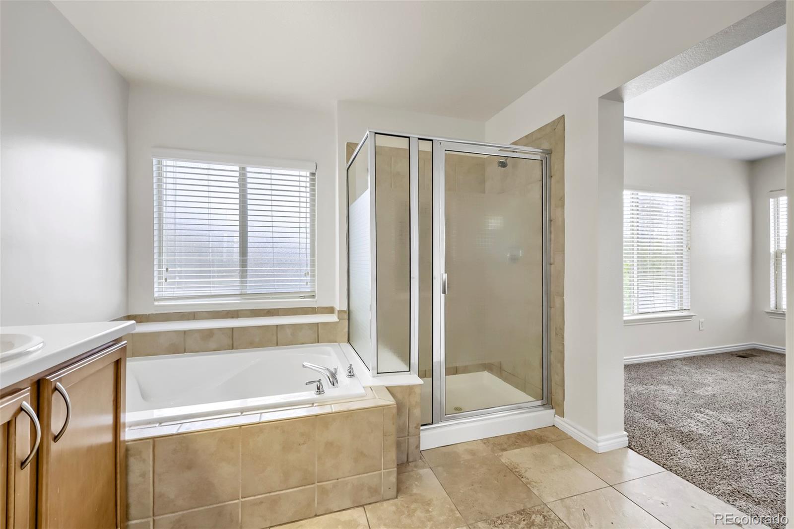 MLS Image #16 for 12204  hannibal street,commerce city, Colorado