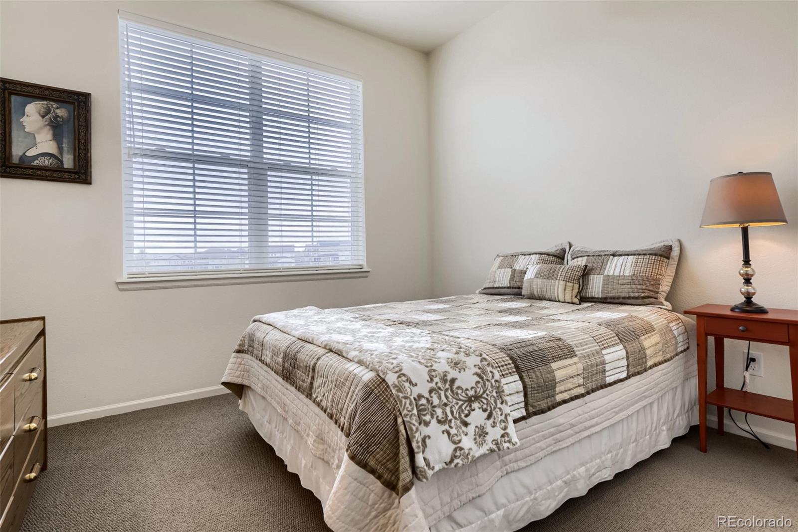 MLS Image #25 for 8270 s jackson gap court,aurora, Colorado