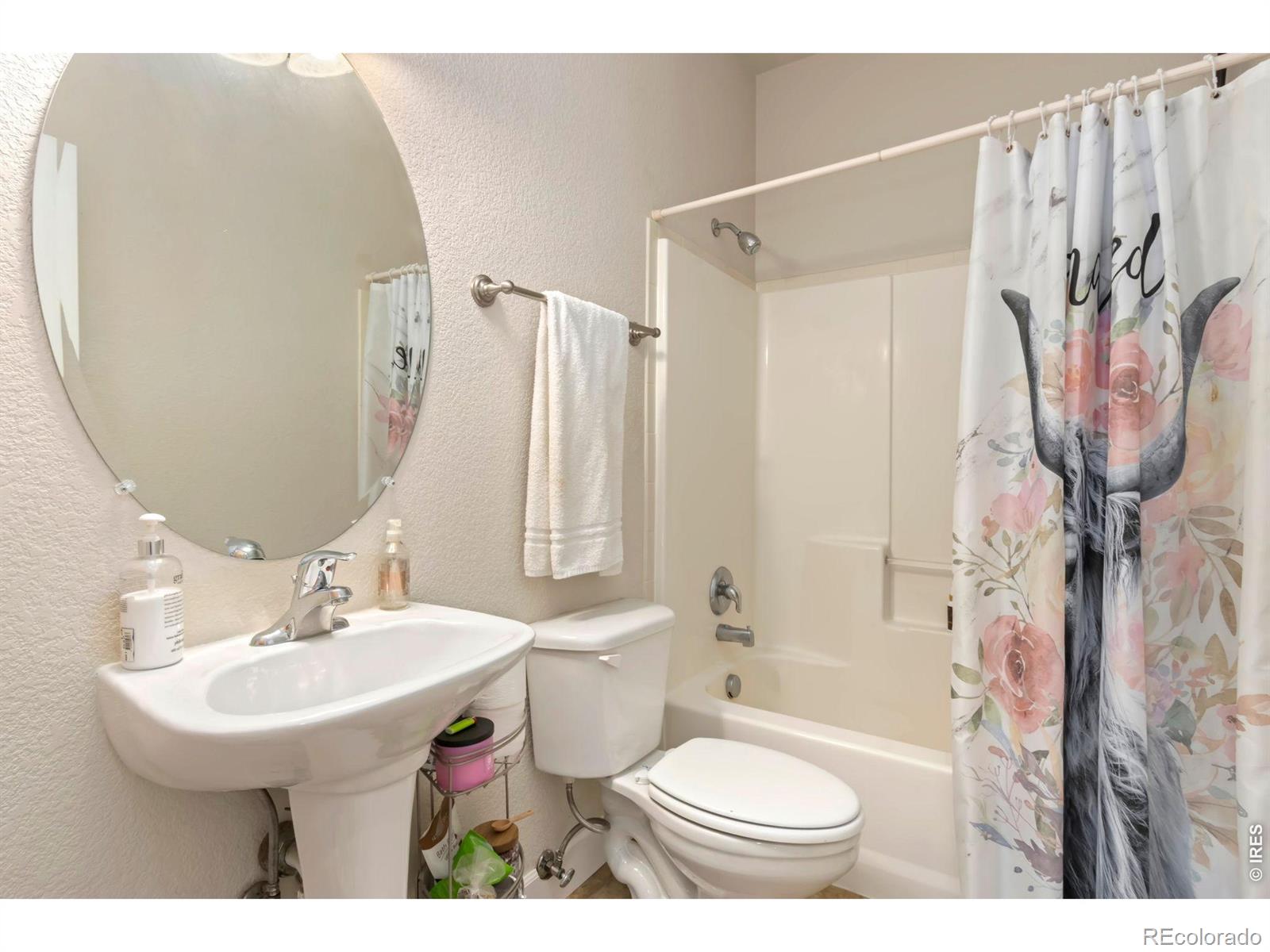 MLS Image #13 for 4101  crittenton lane,wellington, Colorado