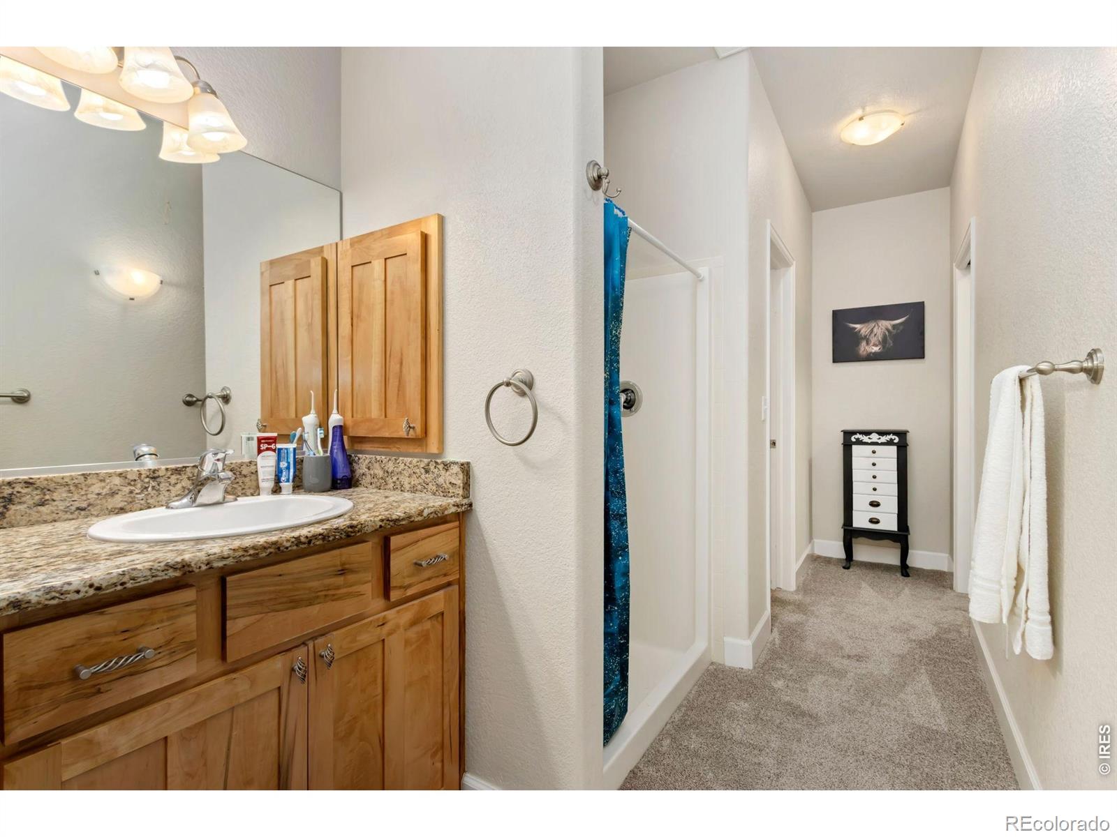 MLS Image #9 for 4101  crittenton lane,wellington, Colorado