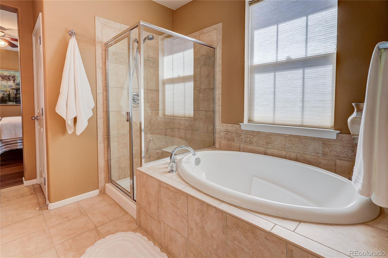 MLS Image #19 for 10556  graymont lane b,highlands ranch, Colorado