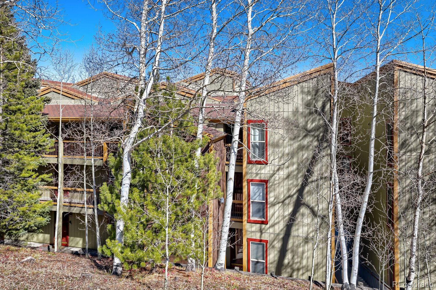 MLS Image #11 for 2401  ryan gulch court,silverthorne, Colorado