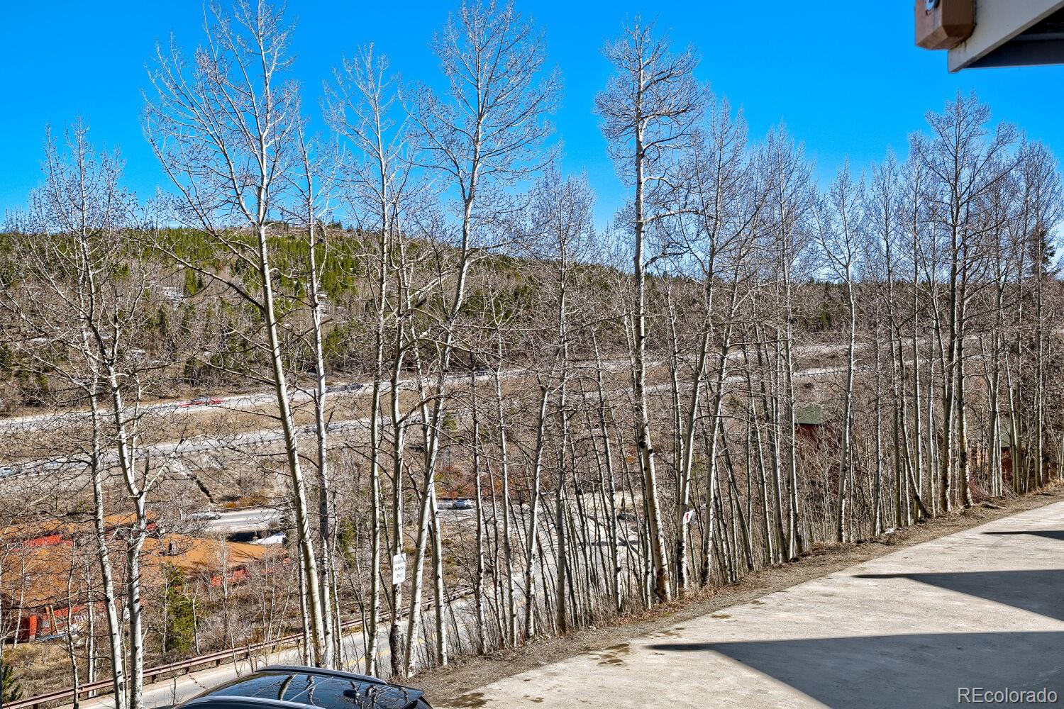 MLS Image #14 for 2401  ryan gulch court,silverthorne, Colorado
