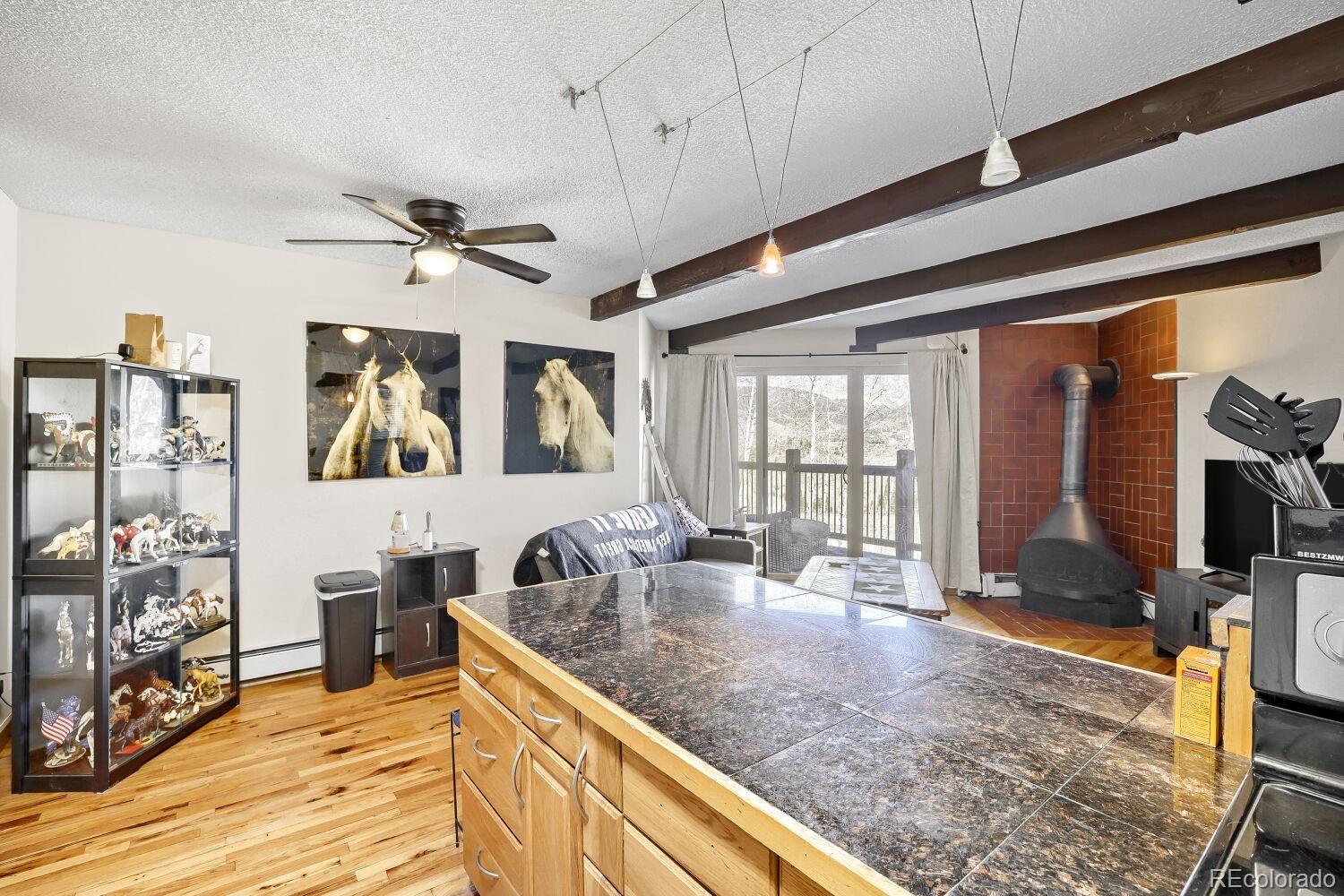 MLS Image #5 for 2401  ryan gulch court,silverthorne, Colorado