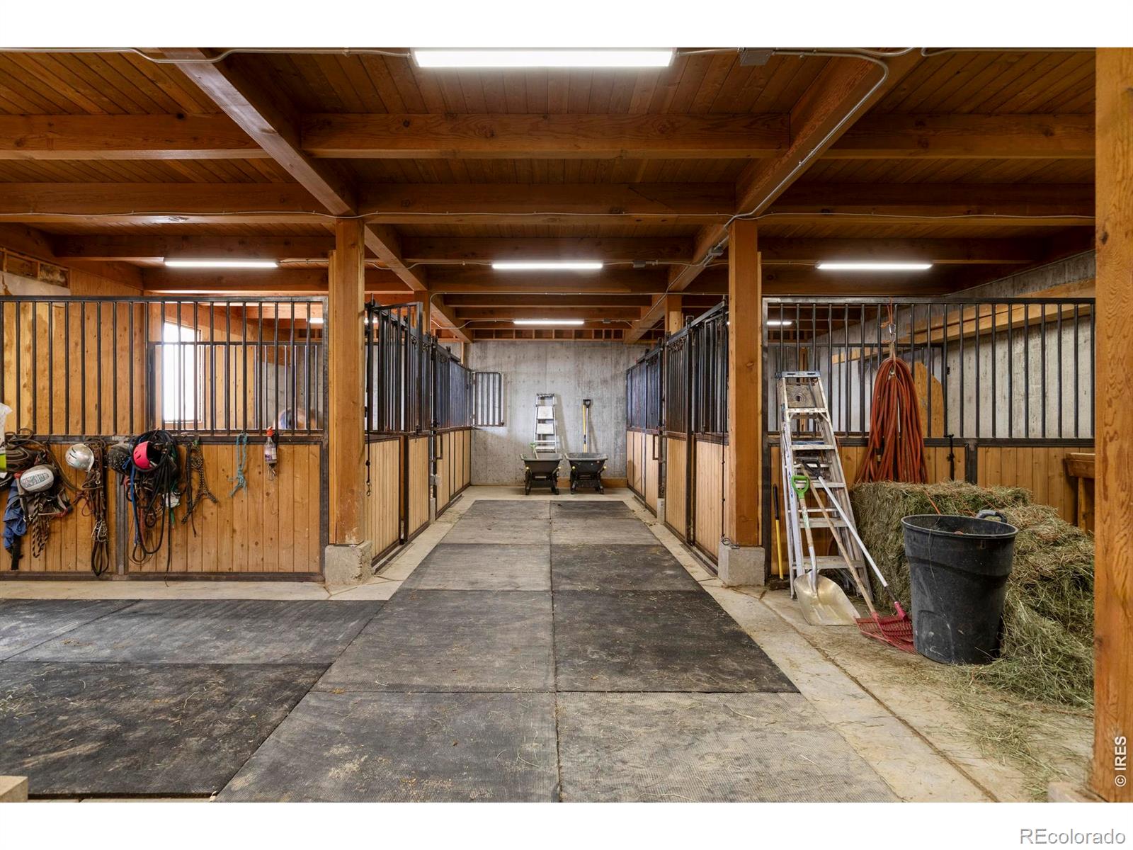 MLS Image #36 for 6025  koda trail,golden, Colorado