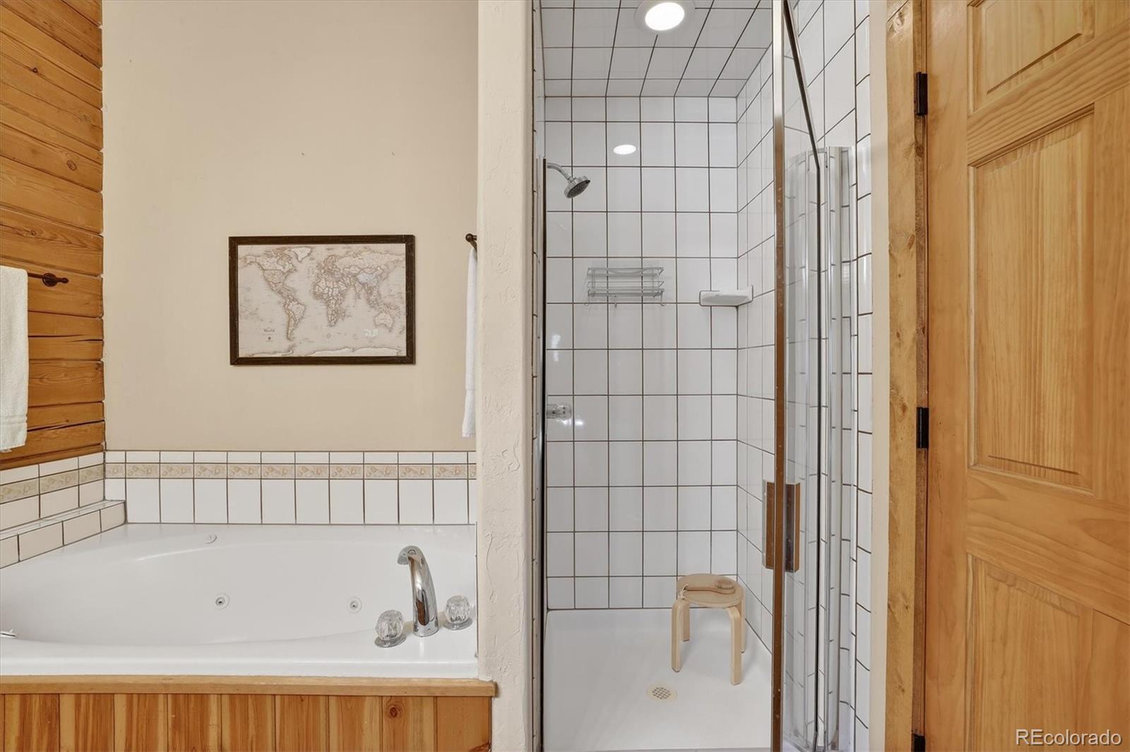 MLS Image #21 for 324  black hawk circle,silverthorne, Colorado
