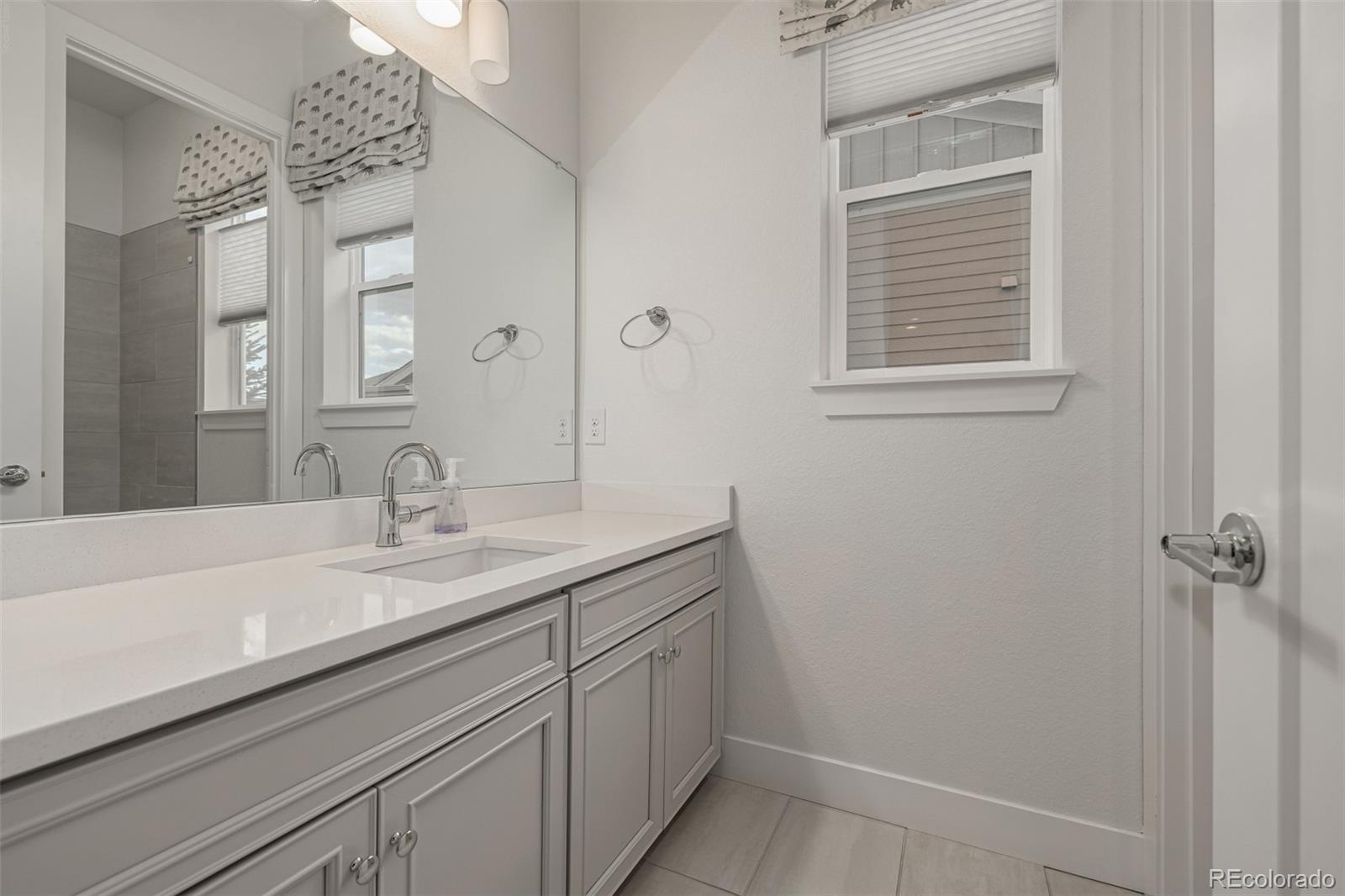 MLS Image #32 for 1182  red iron court,erie, Colorado