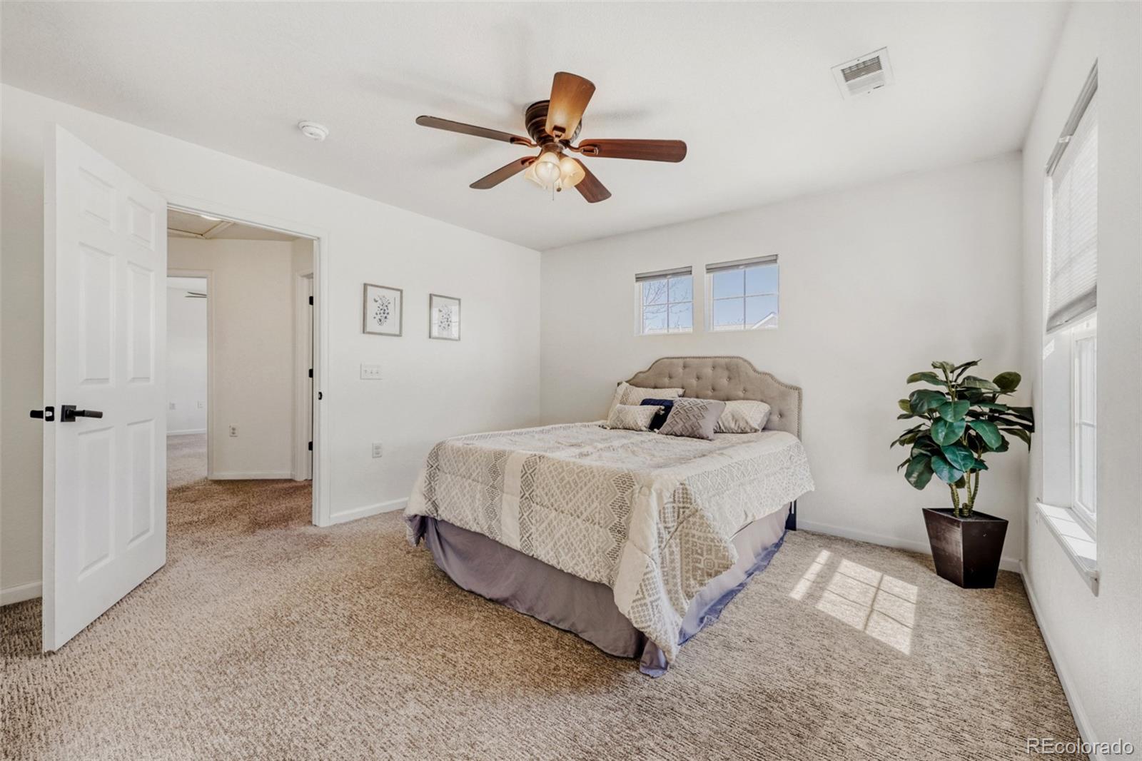 MLS Image #10 for 1506  wild cat mountain road,castle rock, Colorado