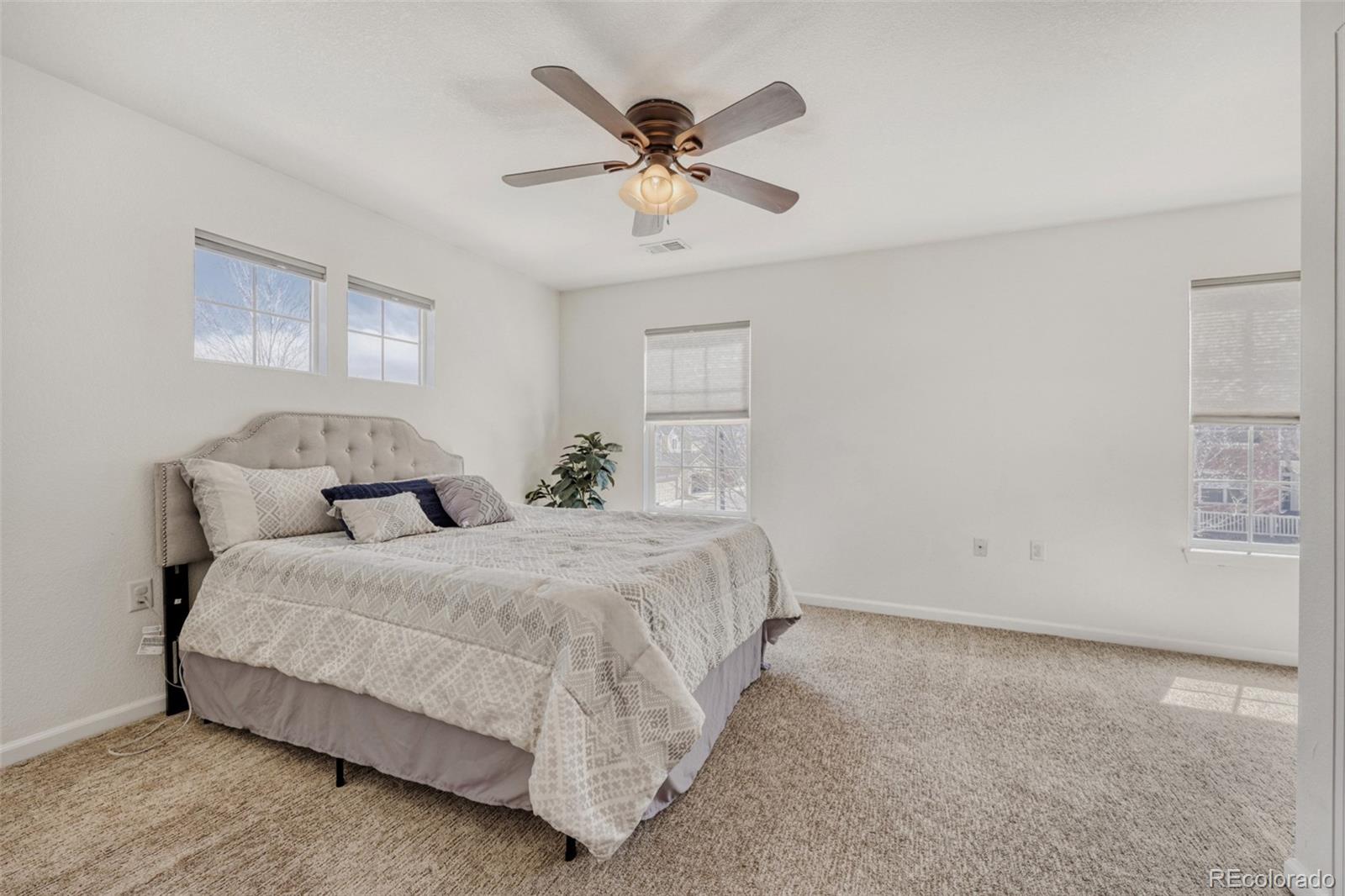 MLS Image #9 for 1506  wild cat mountain road,castle rock, Colorado