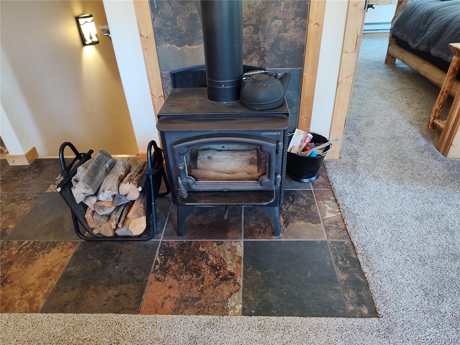 MLS Image #12 for 226  pine cone way,fairplay, Colorado
