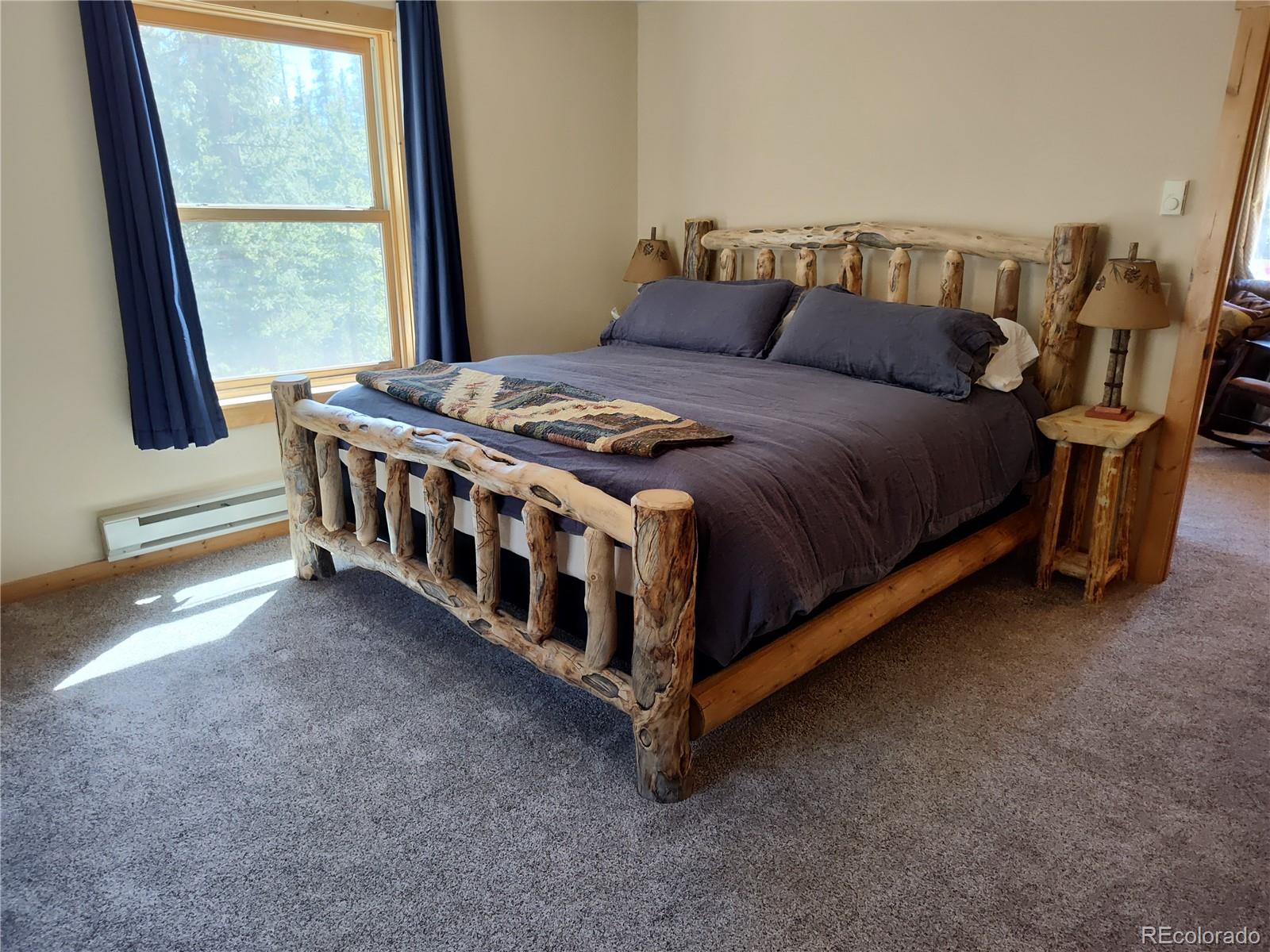MLS Image #15 for 226  pine cone way,fairplay, Colorado