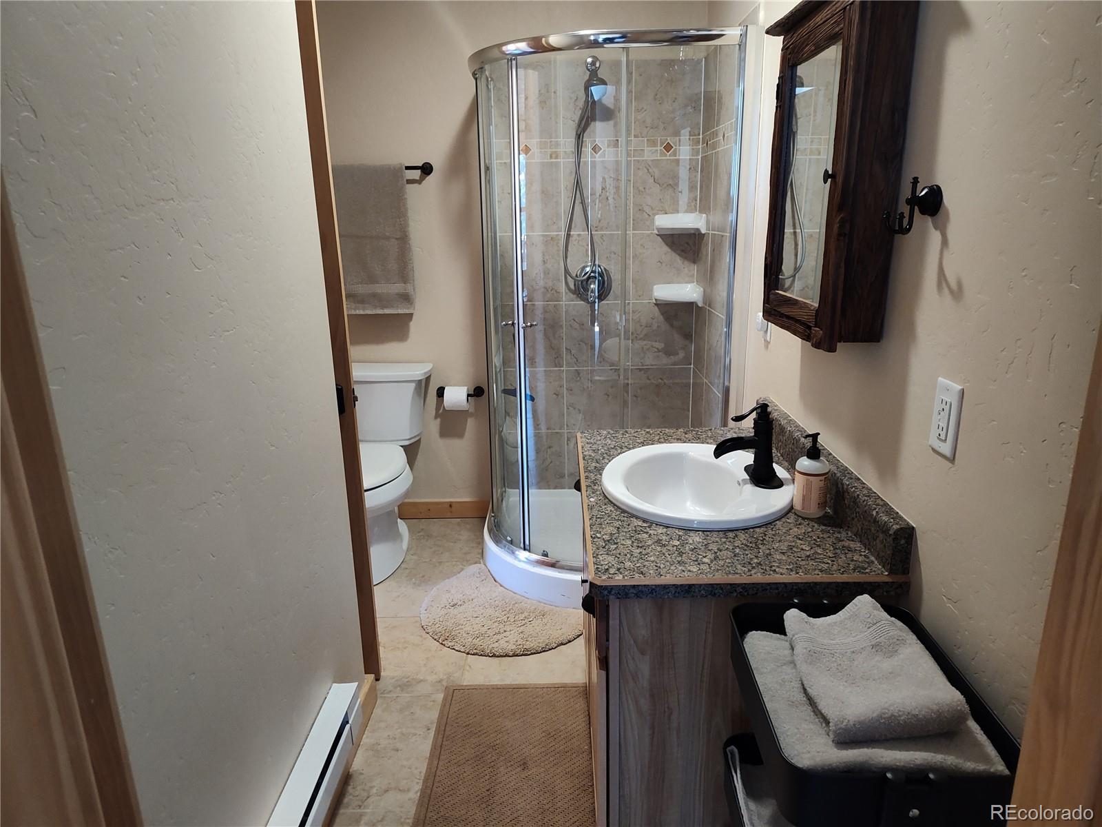 MLS Image #16 for 226  pine cone way,fairplay, Colorado