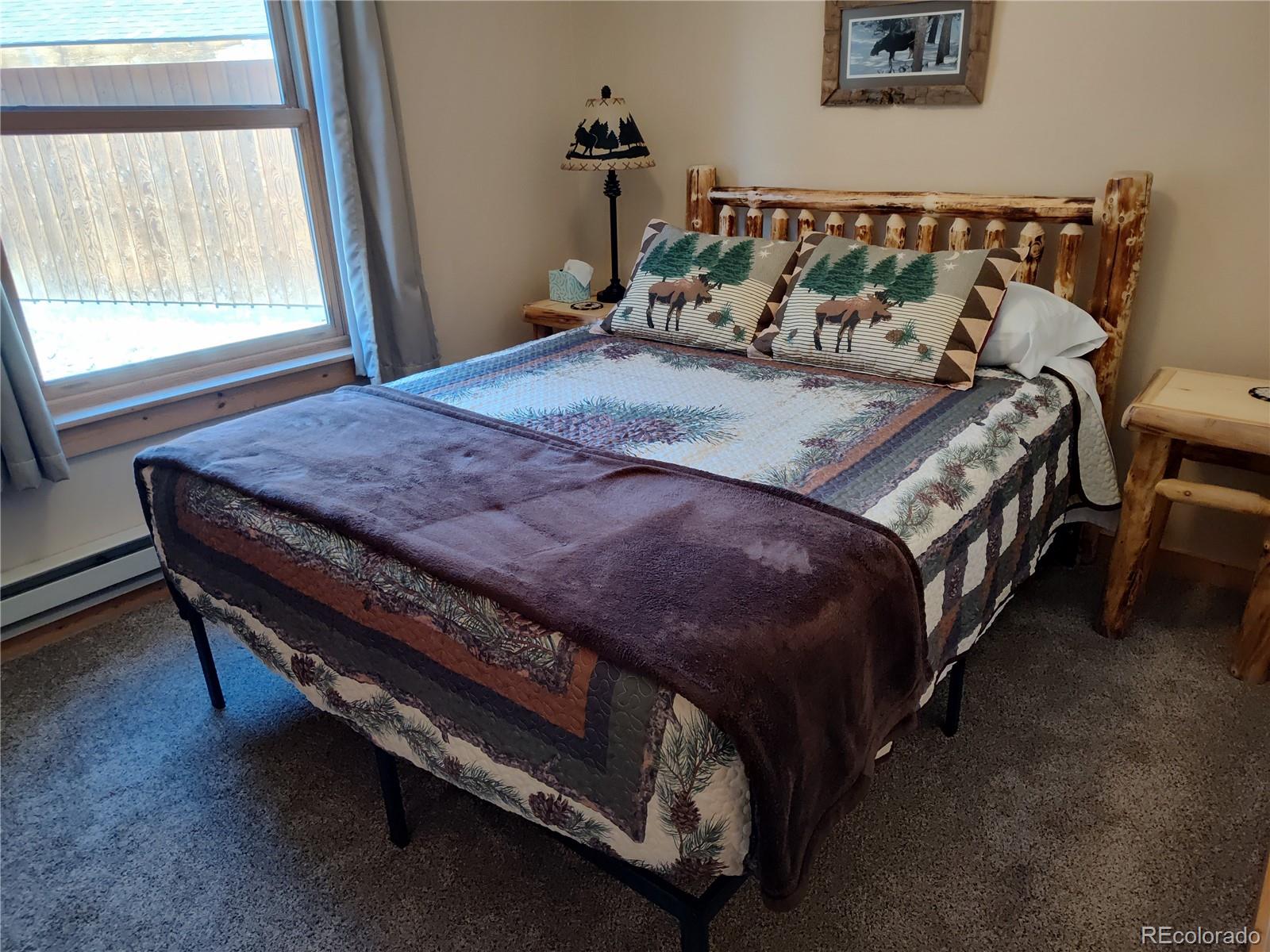 MLS Image #18 for 226  pine cone way,fairplay, Colorado