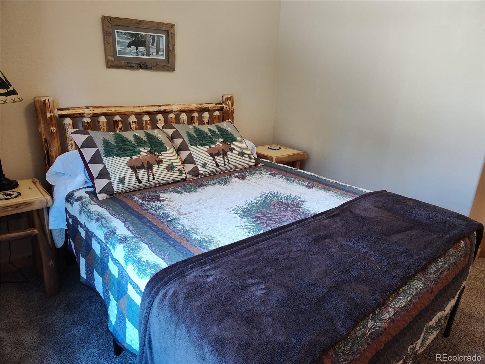 MLS Image #19 for 226  pine cone way,fairplay, Colorado