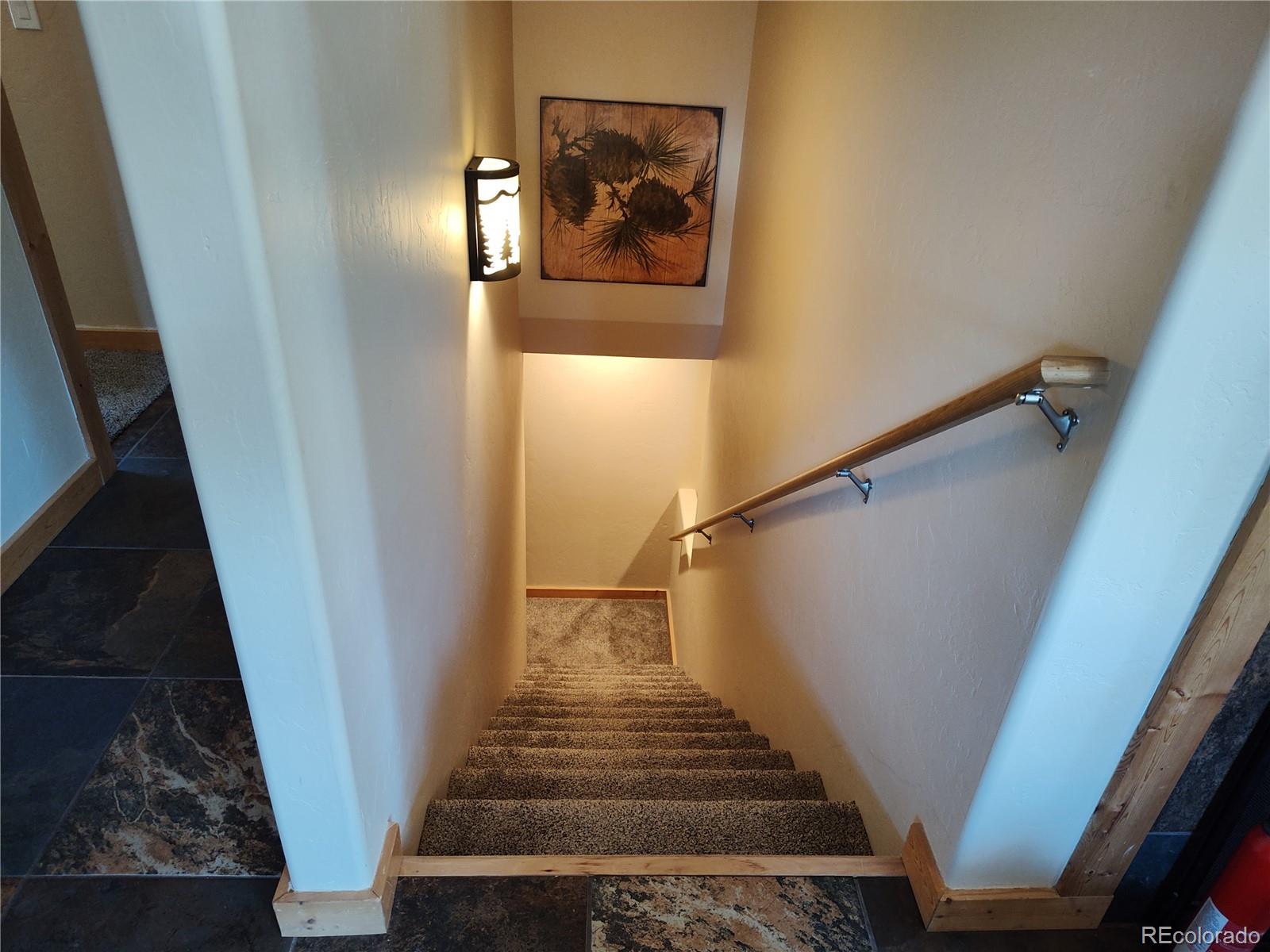 MLS Image #20 for 226  pine cone way,fairplay, Colorado