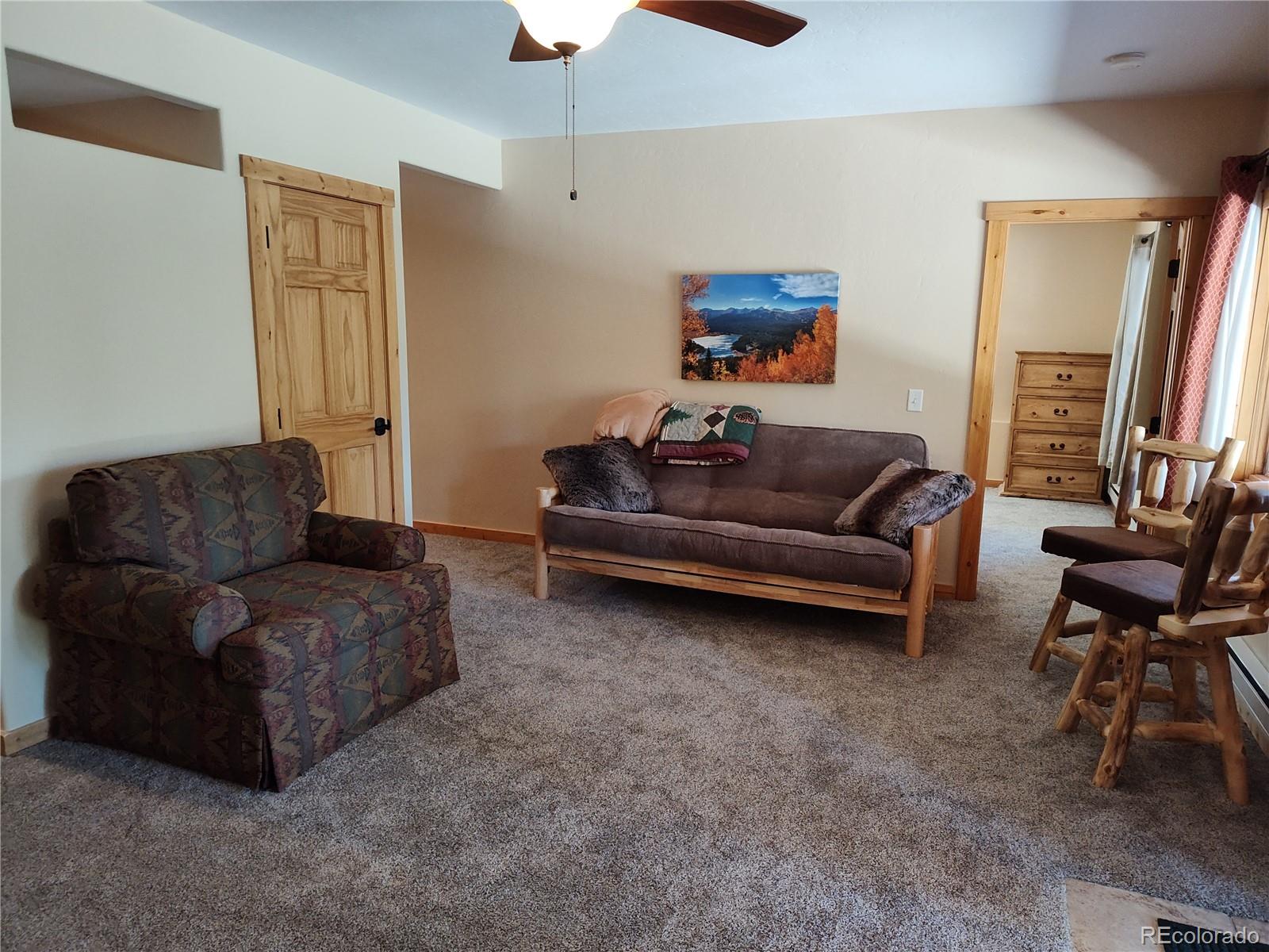 MLS Image #24 for 226  pine cone way,fairplay, Colorado