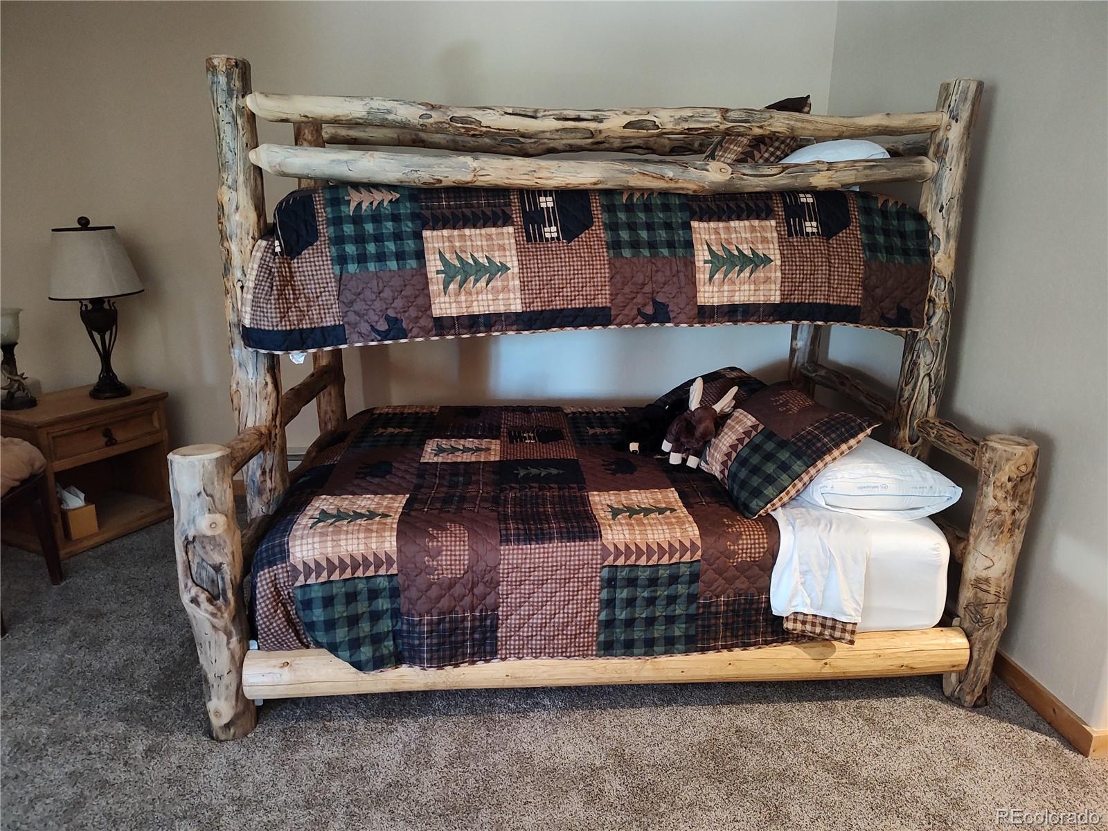MLS Image #25 for 226  pine cone way,fairplay, Colorado