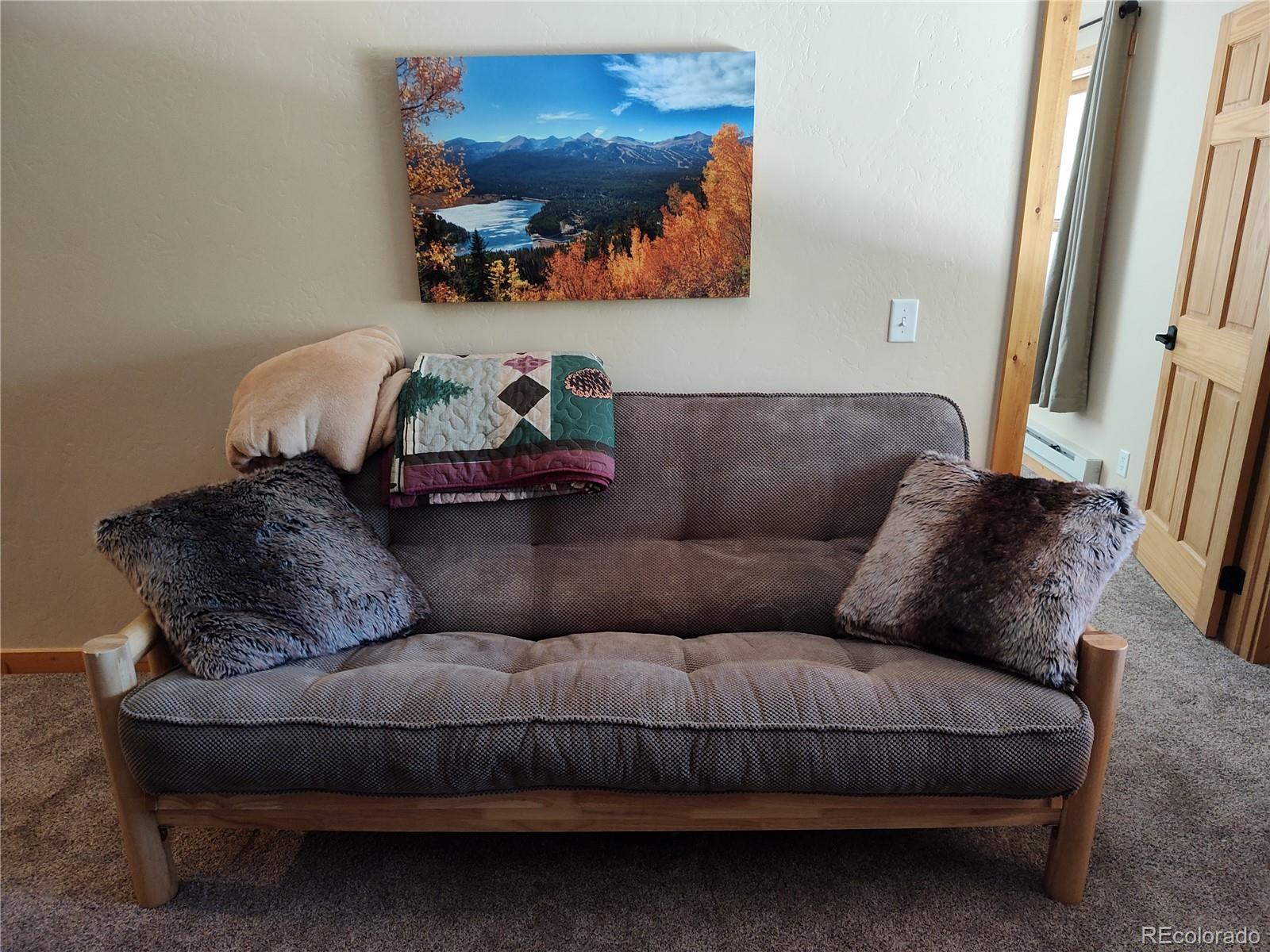 MLS Image #26 for 226  pine cone way,fairplay, Colorado