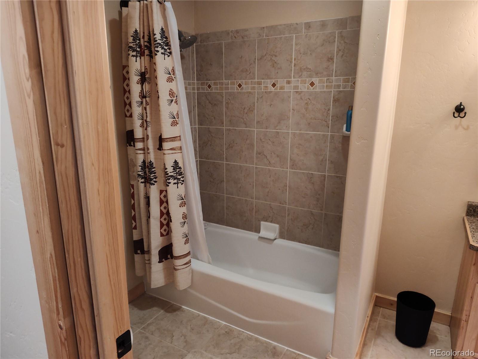MLS Image #27 for 226  pine cone way,fairplay, Colorado