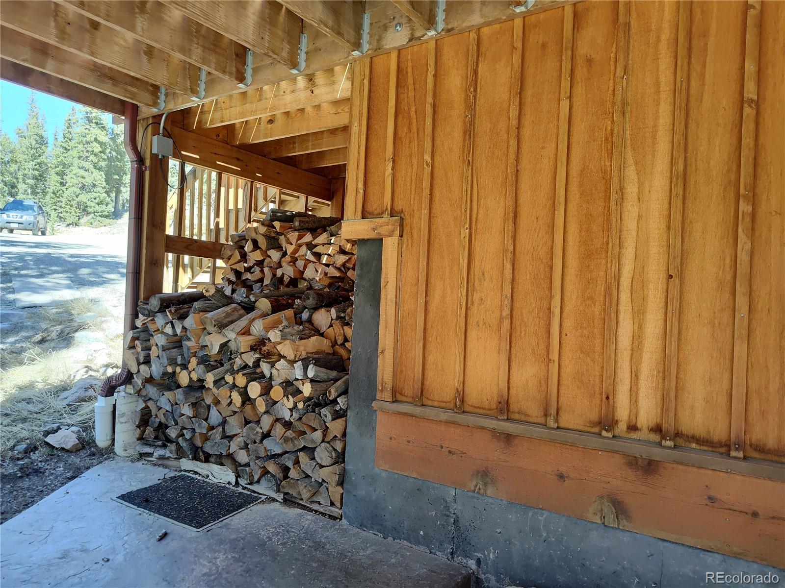 MLS Image #31 for 226  pine cone way,fairplay, Colorado
