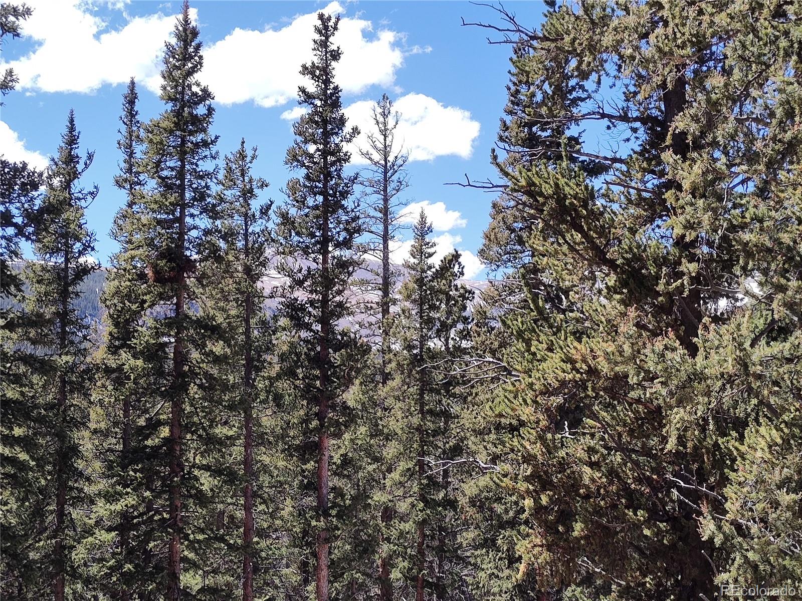 MLS Image #34 for 226  pine cone way,fairplay, Colorado