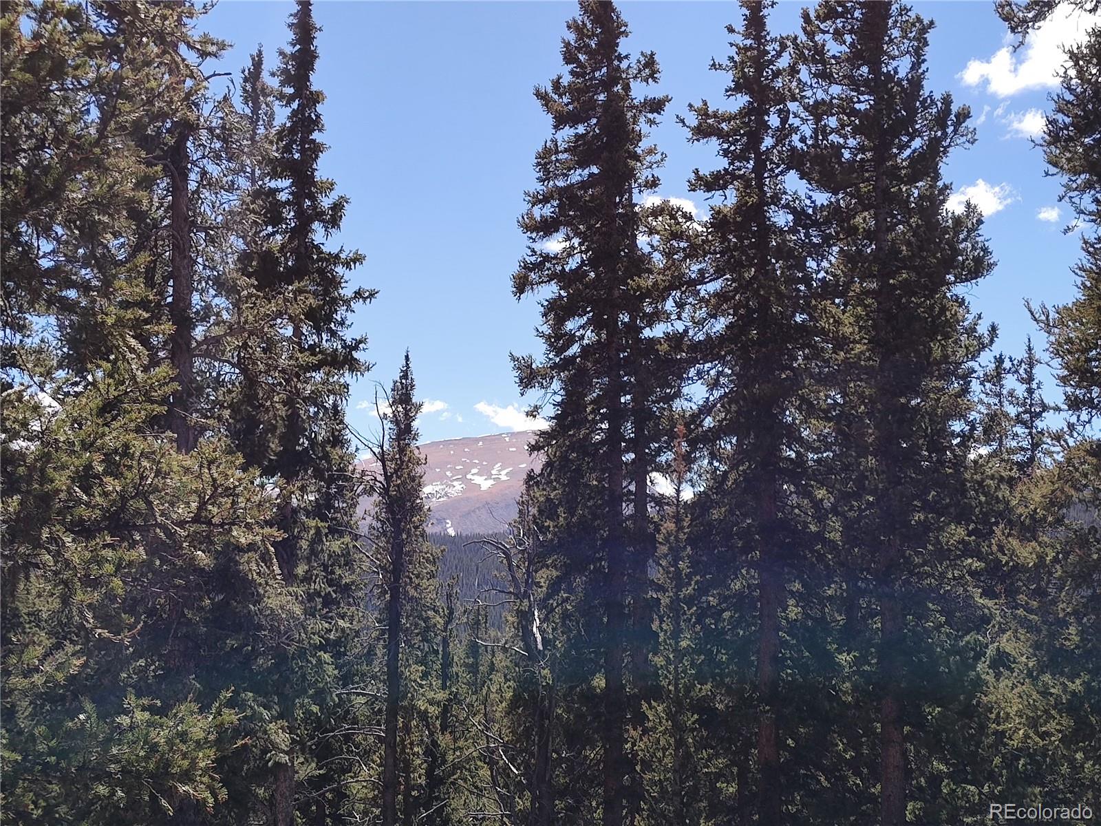 MLS Image #35 for 226  pine cone way,fairplay, Colorado