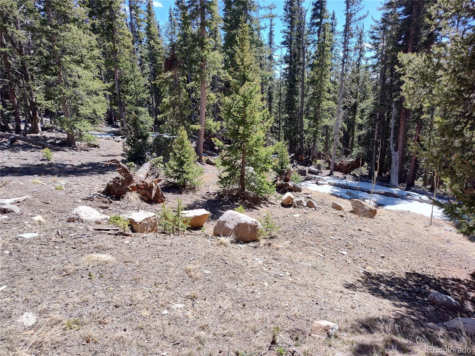 MLS Image #36 for 226  pine cone way,fairplay, Colorado